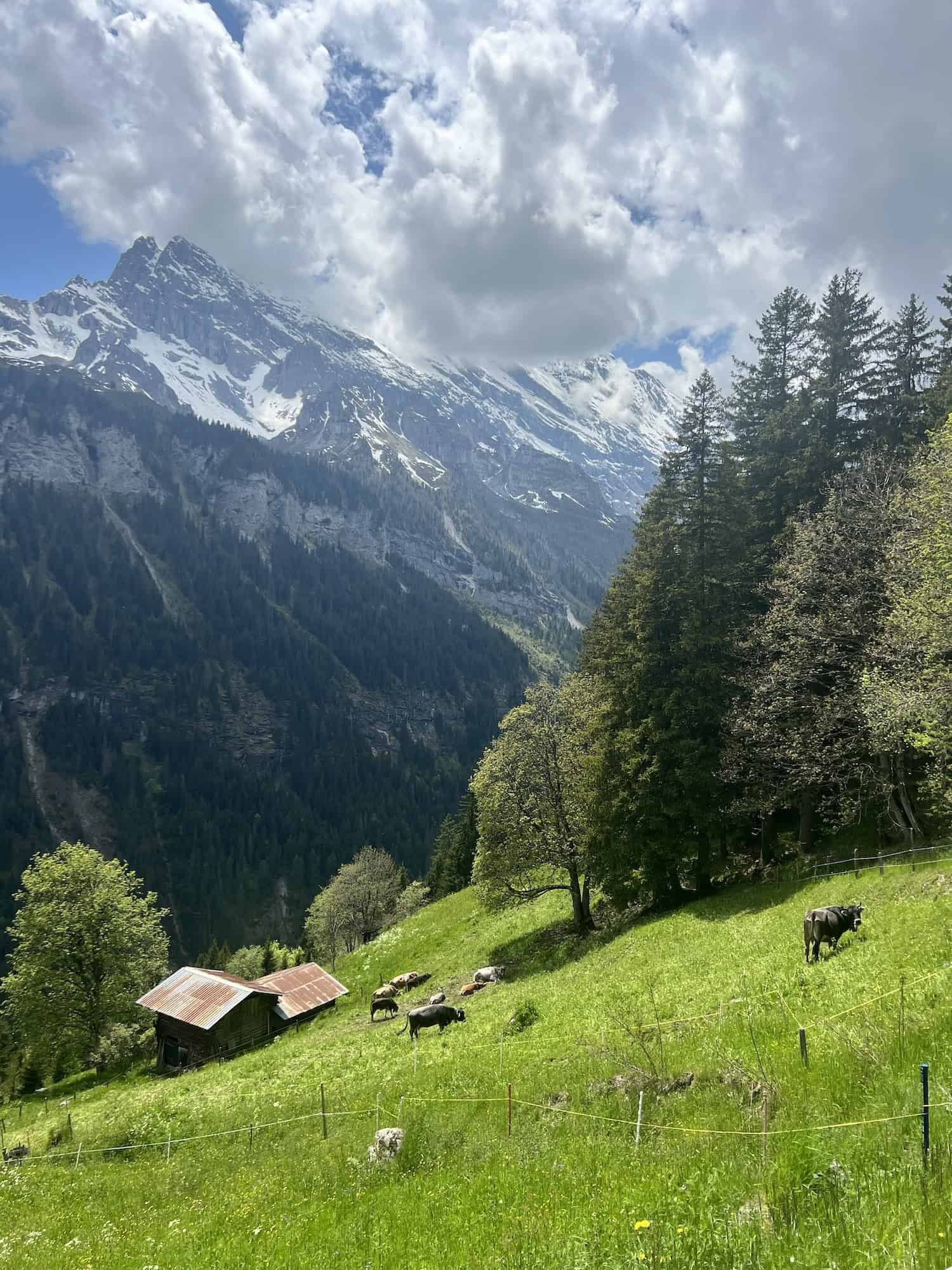 Alpine Serenity in Lauterbrunnen Valley
