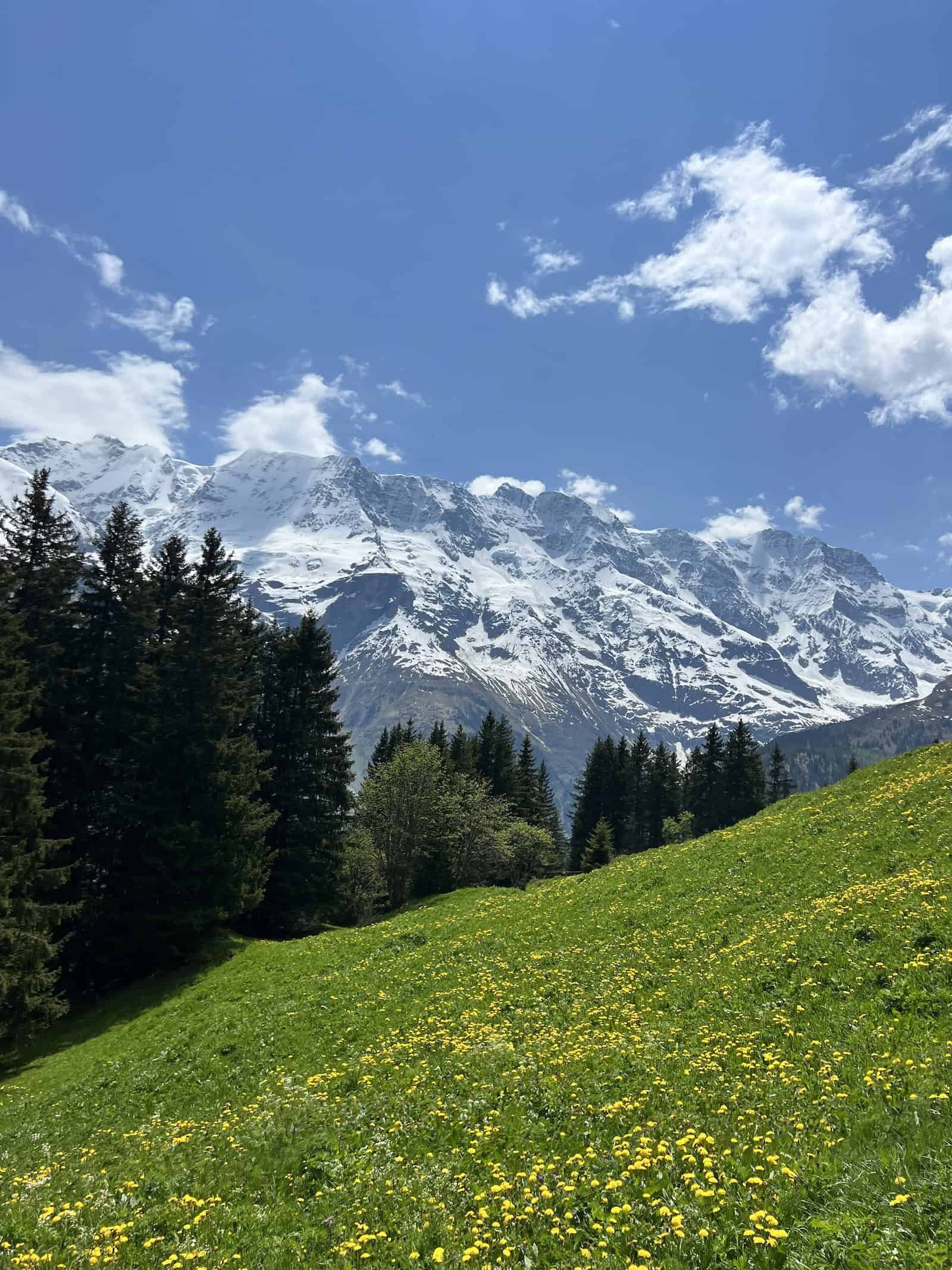 Snow-Capped Mountains in Lauterbrunnen