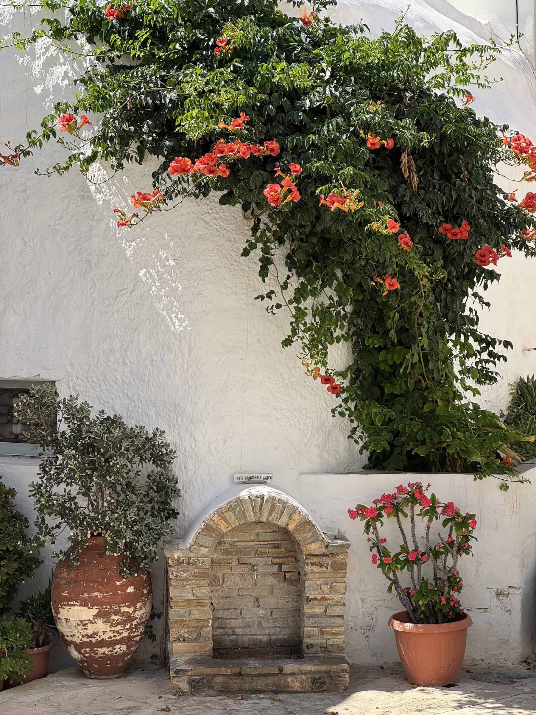 Floral Courtyard Beside a Stone Fountain in Chora’s Kastro