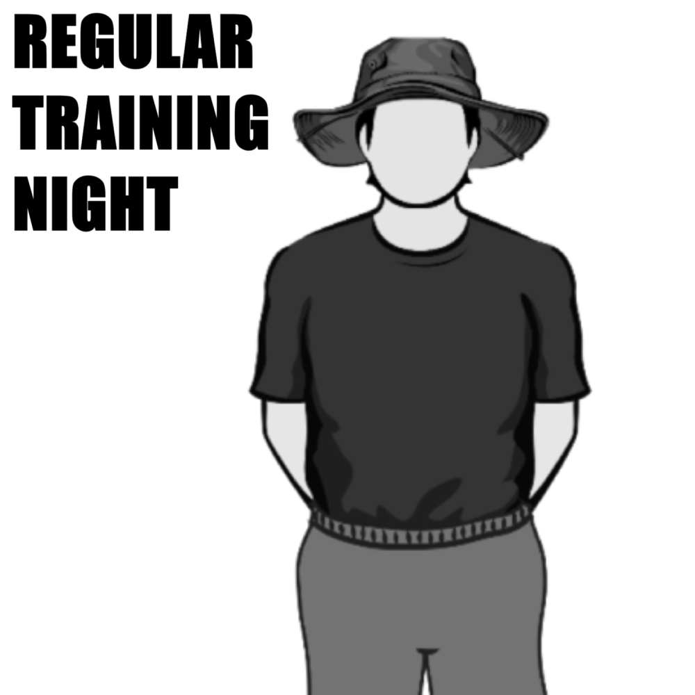 Regular Training Night
