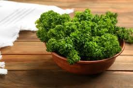 4" Single Curly Parsley