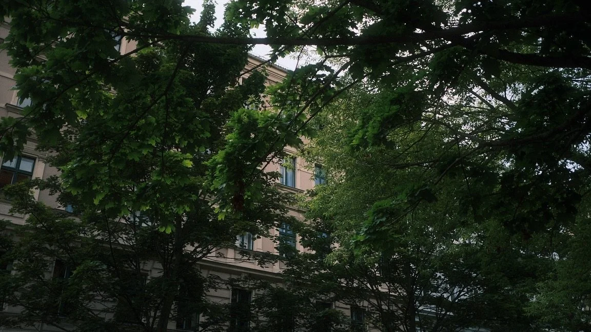 surreal
[1-6]
#cinematic #photocinematica #photography #photographer #londonphotographer #berlin #window #landscape #landscapephotography #windows #window #nature #city