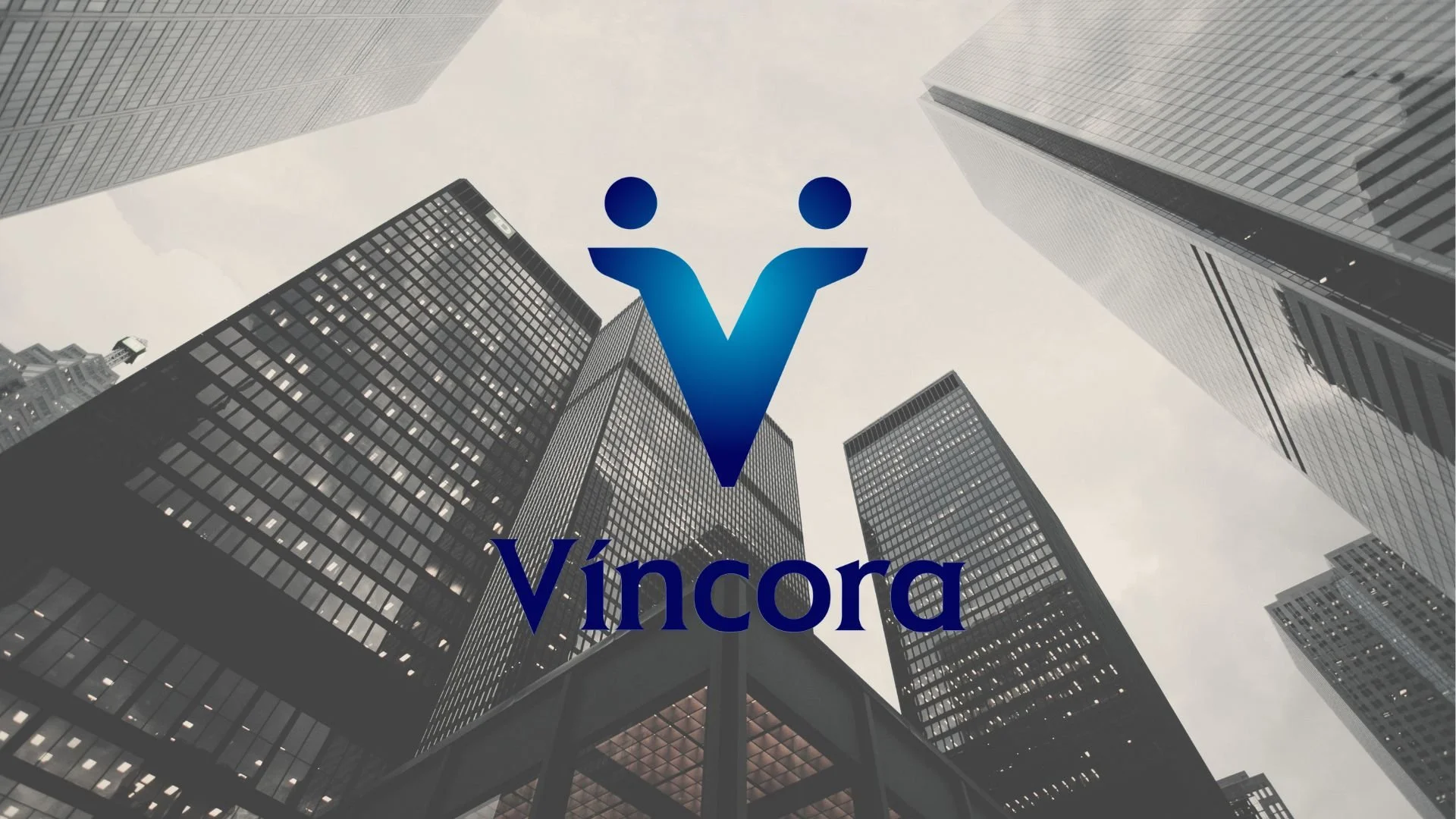 Vincora