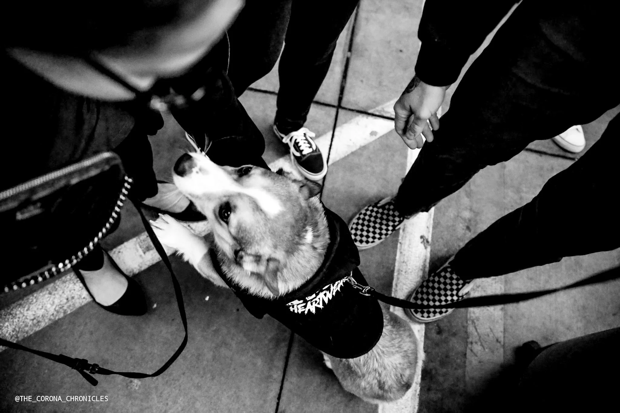 PRgB@THE_CORONA_CHRONICLES -397.jpg