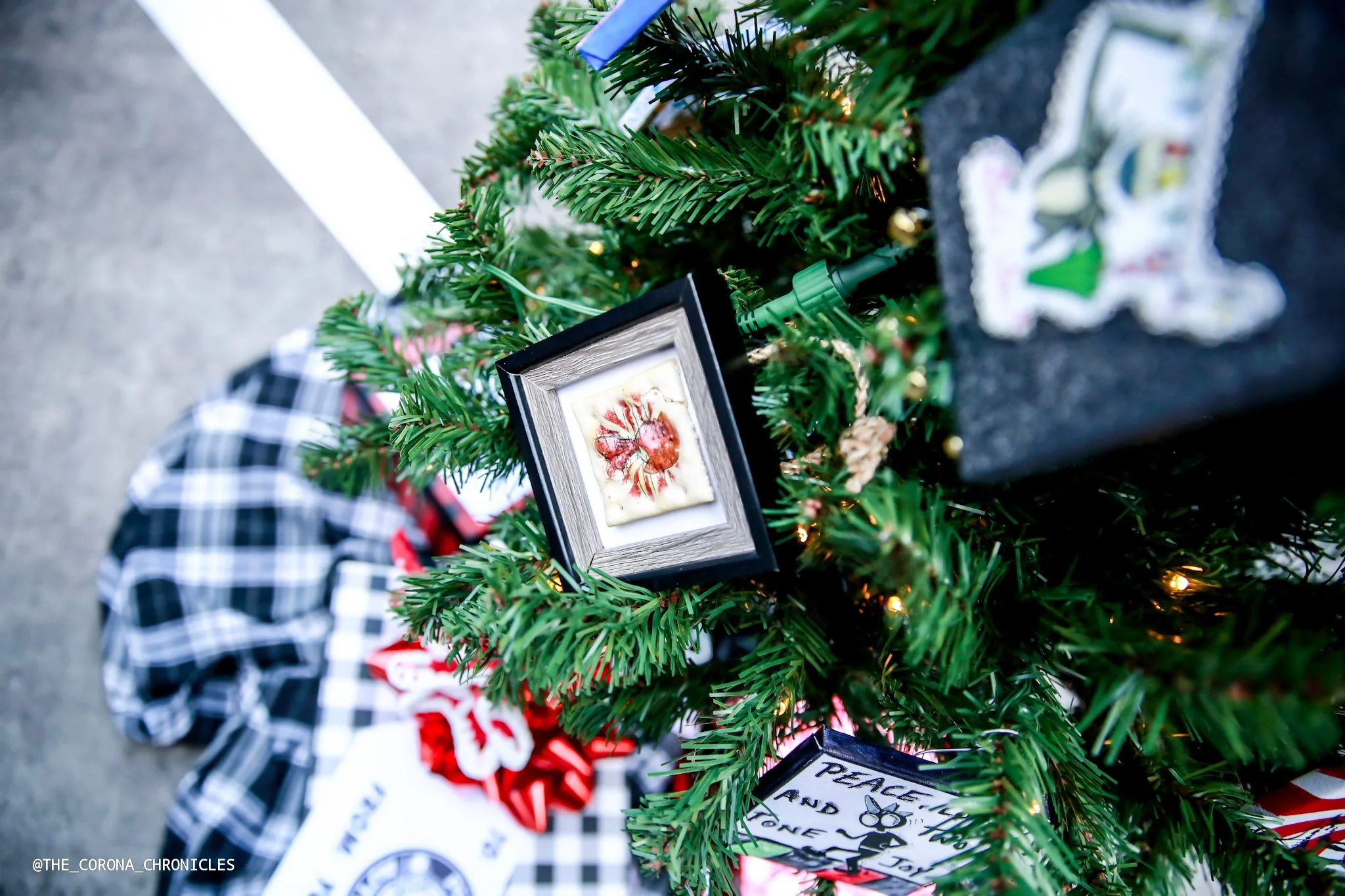 PRgB@THE_CORONA_CHRONICLES -266.jpg