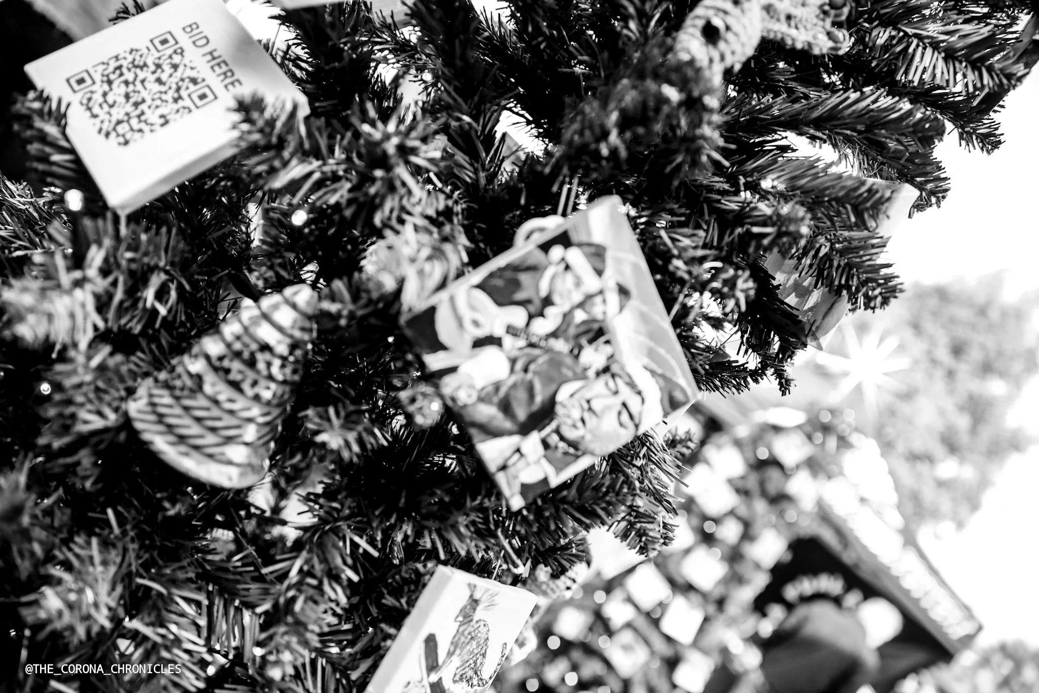 PRgB@THE_CORONA_CHRONICLES -316.jpg