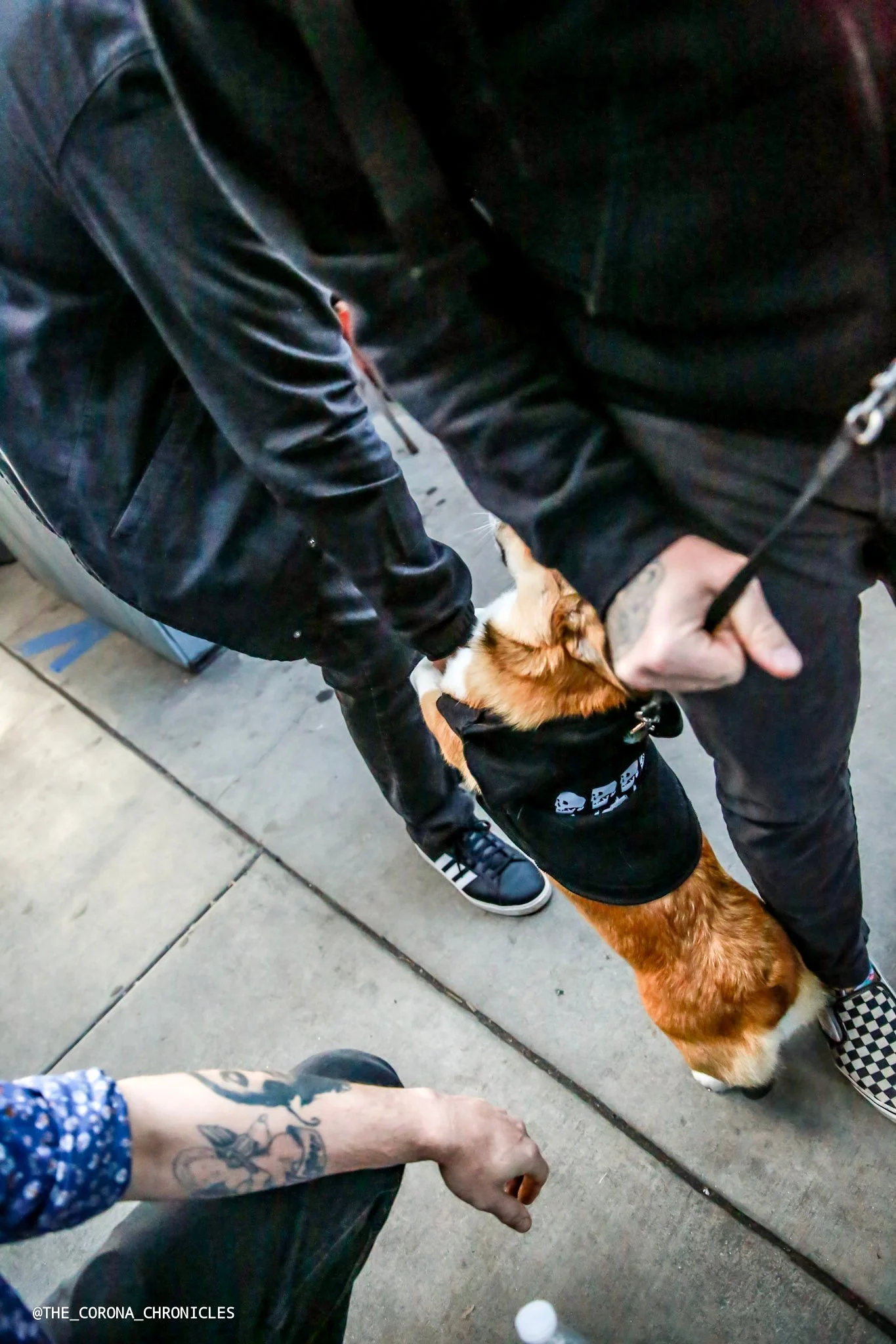 PRgB@THE_CORONA_CHRONICLES -402.jpg