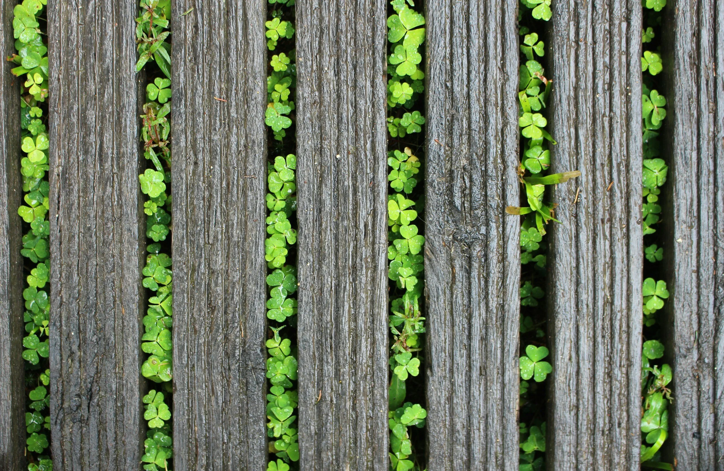 🌿When You Feel the Pull Toward Something More