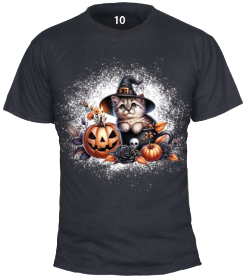 cat10.png