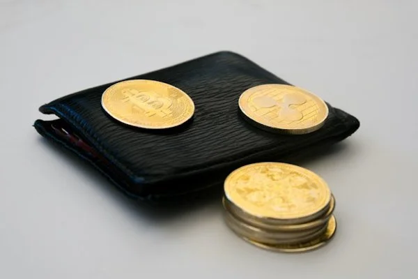 Wallets vs. Wallet Addresses: What’s the Difference? 