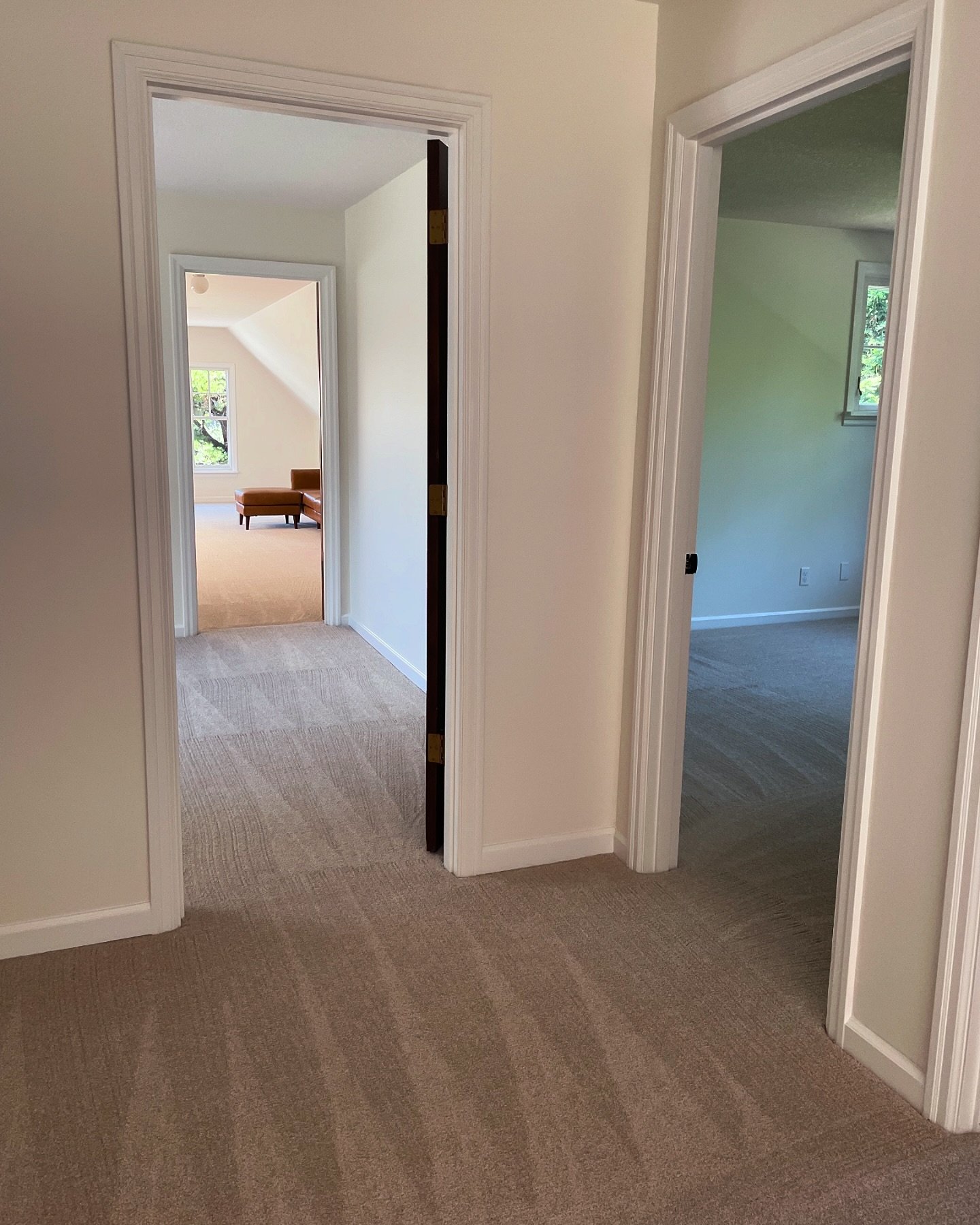 Neat carpet lines π«‘π€©
