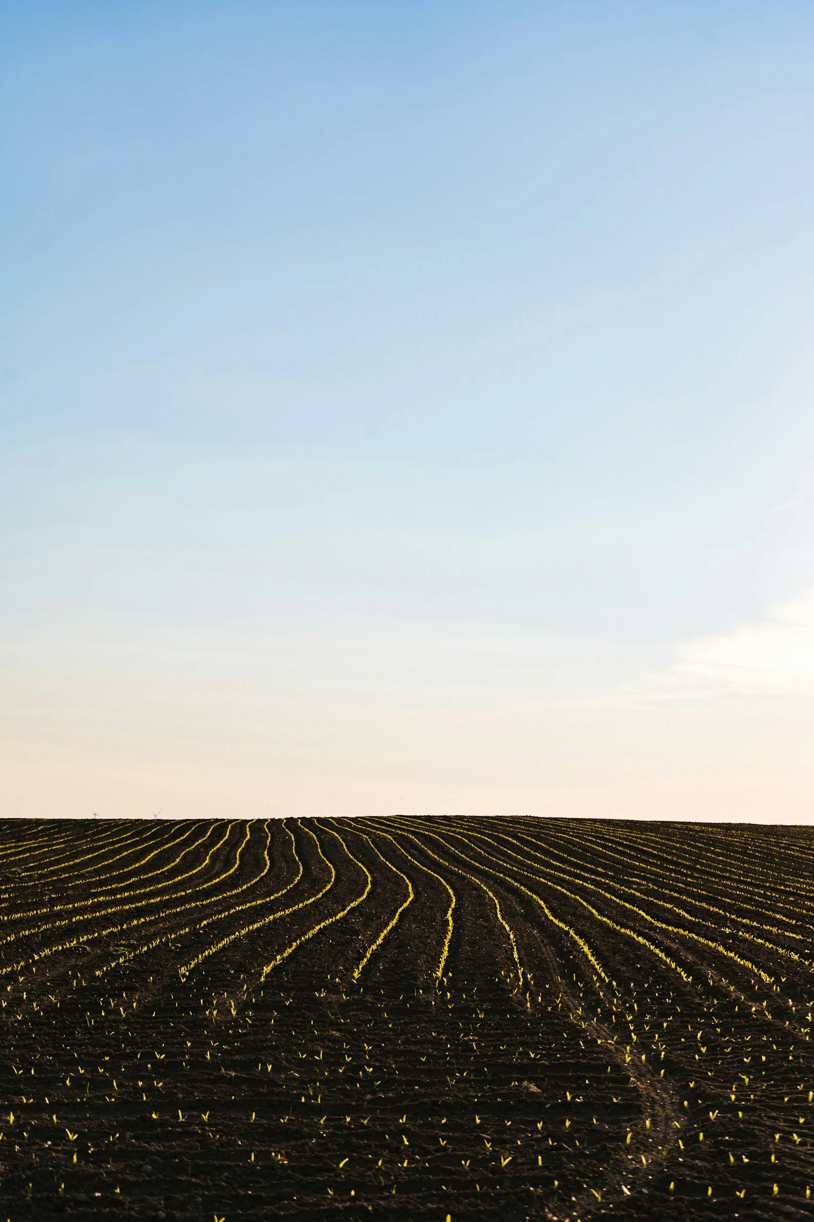 Nutrition Doesn't Begin in the Body, It Begins in the Food System | 3 min read