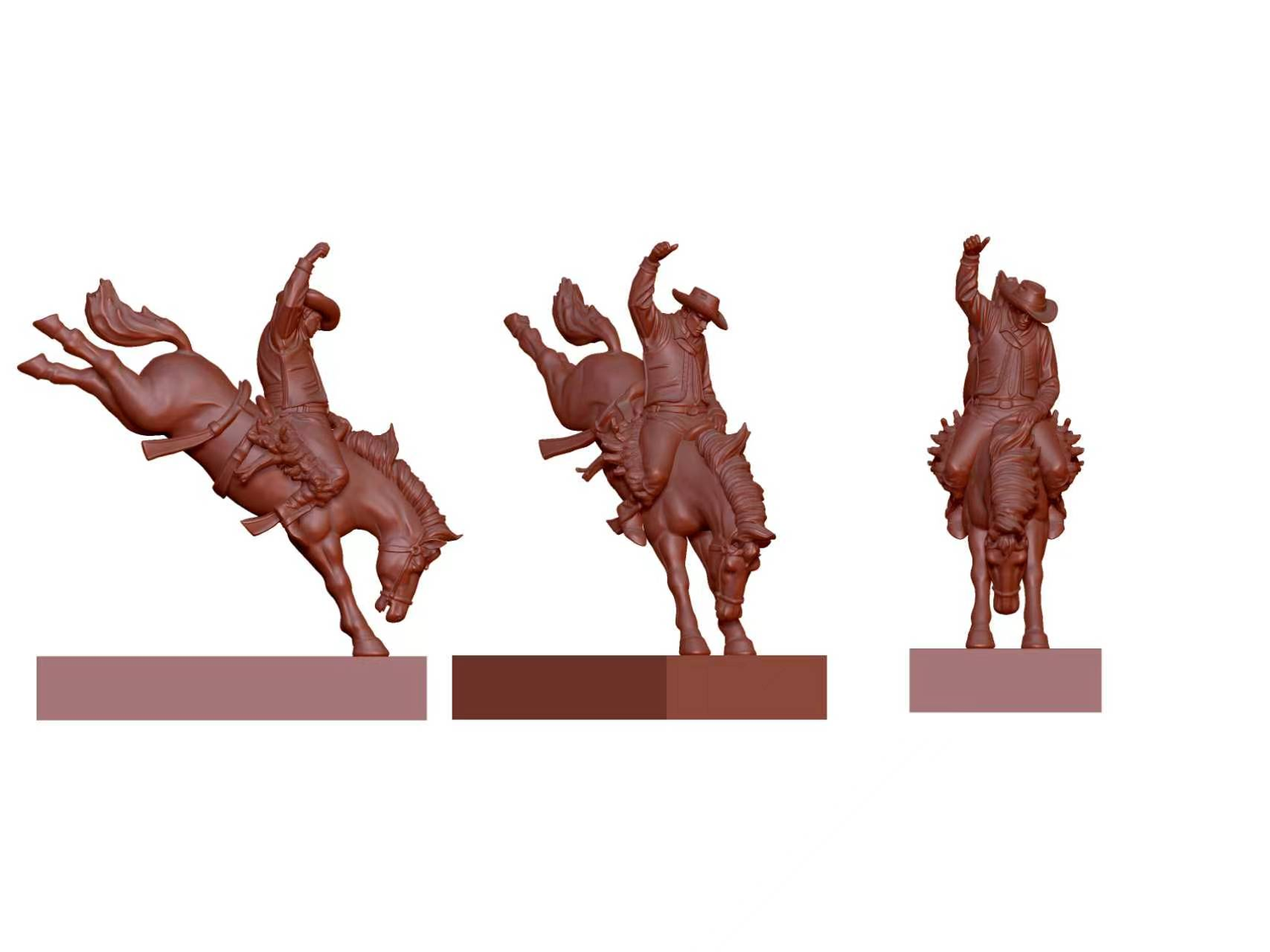horse model
