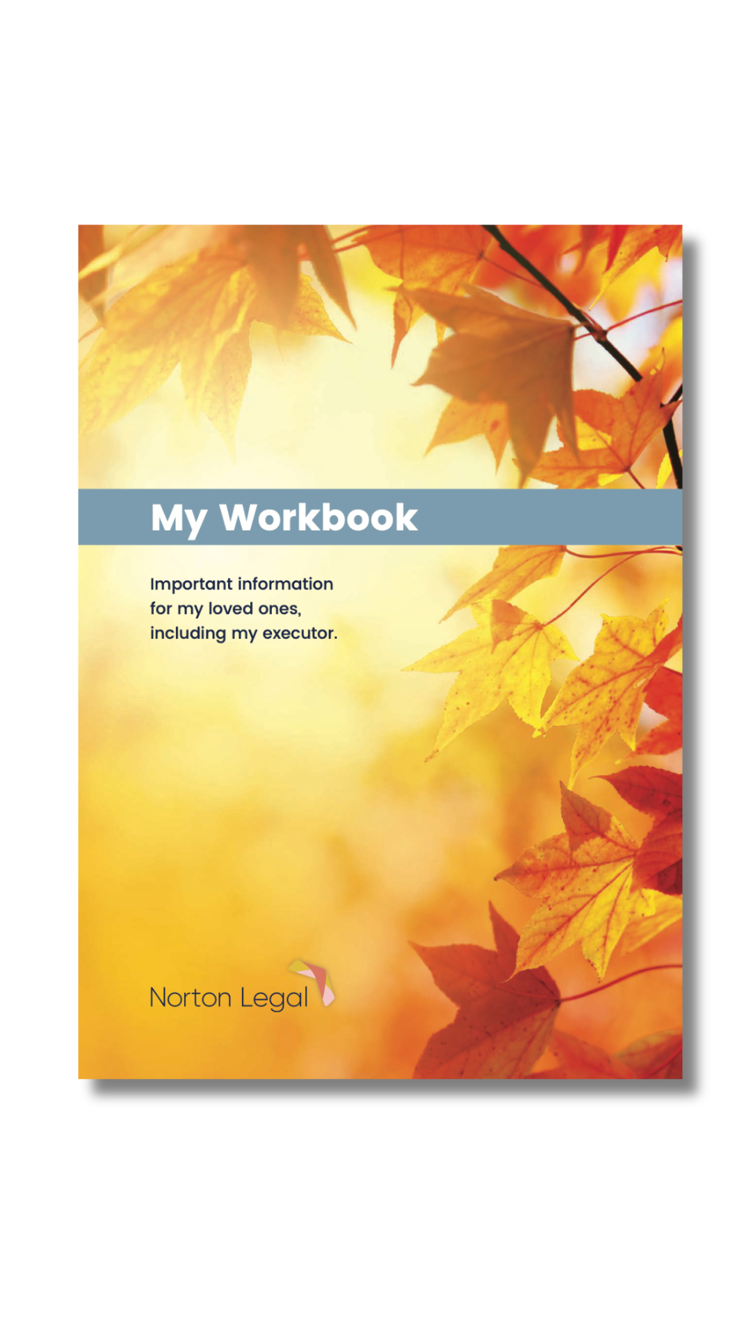 A Letter of Wishes Workbook