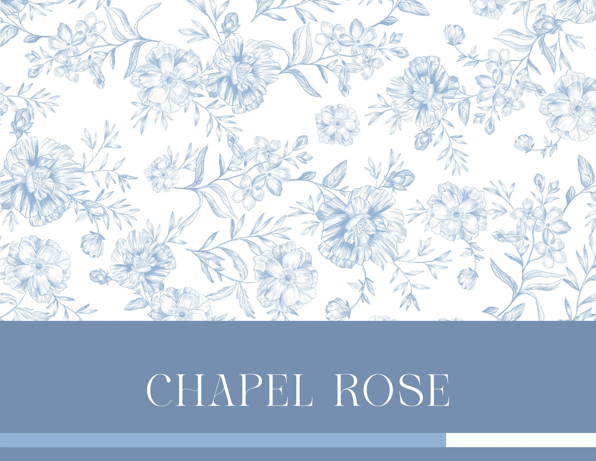 Dillards x GB Print Design + Brand Marketing