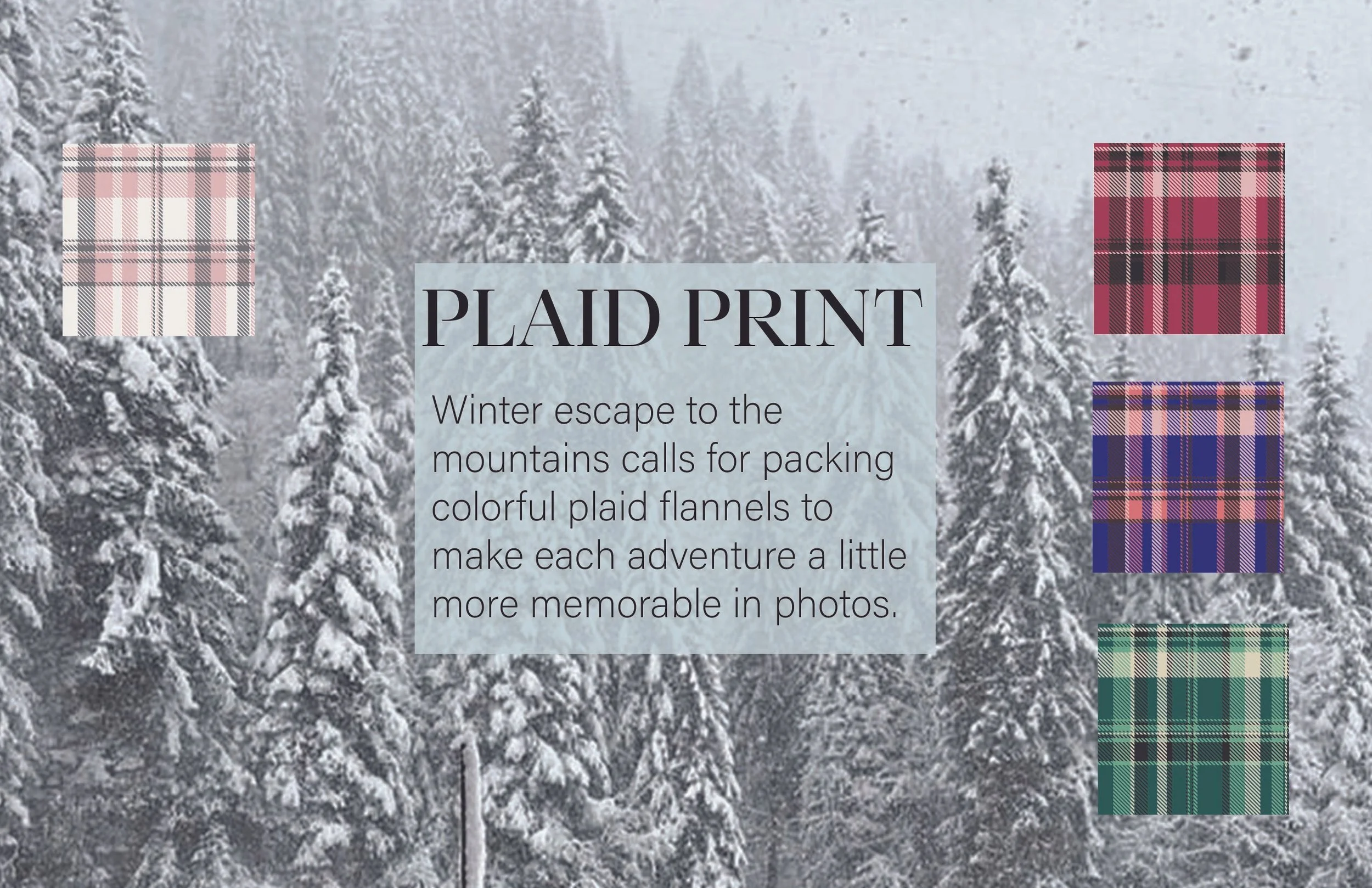 Plaid Print Layout-03.jpg
