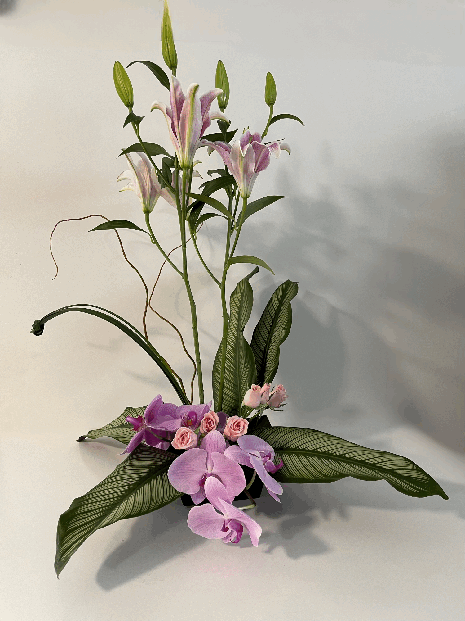 Lillies Gone Wild