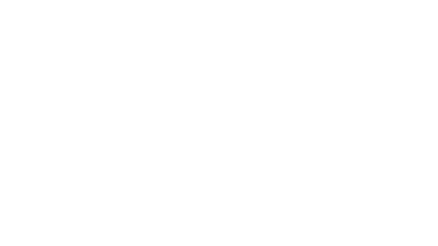 Narcissist's Playbook