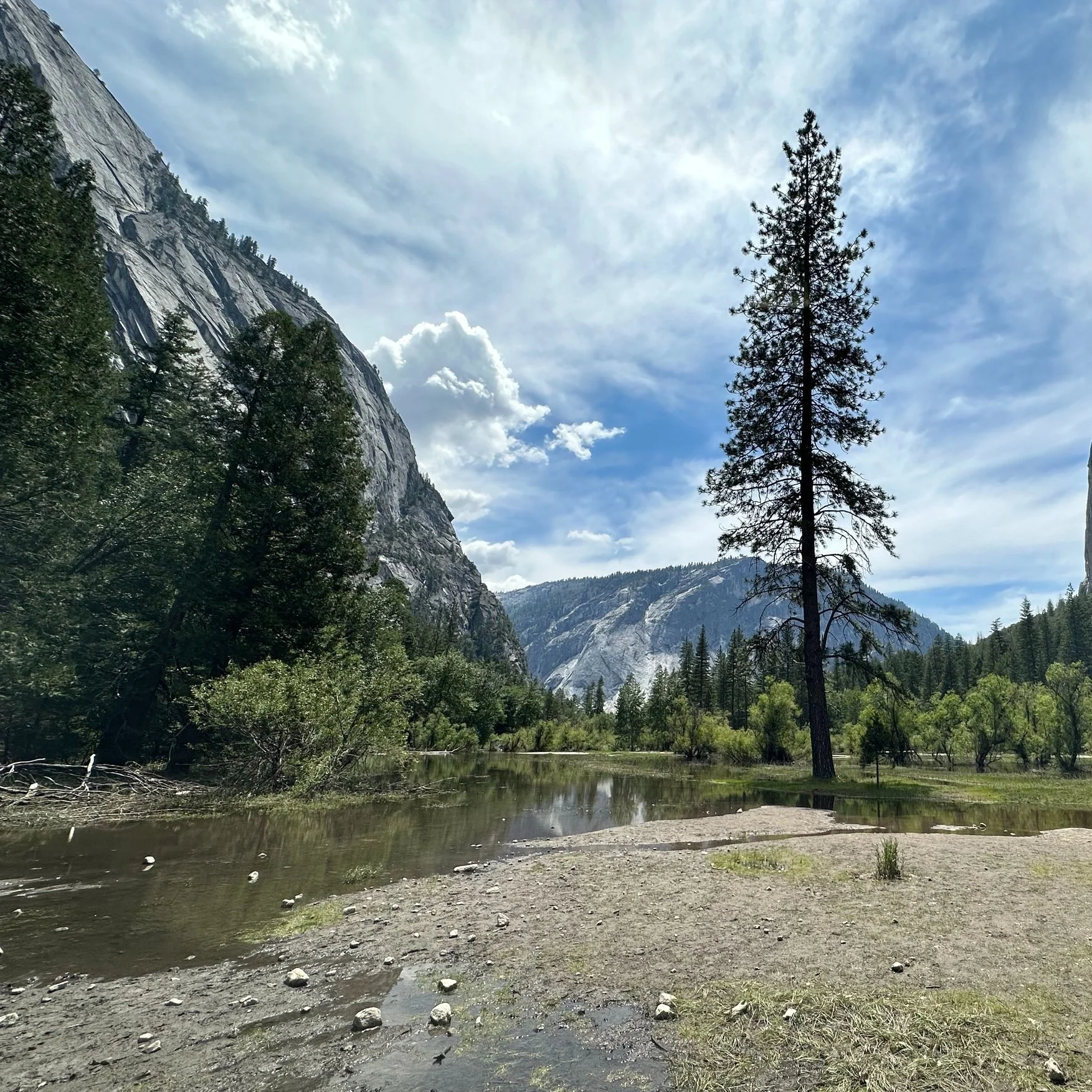 scenery of a mountain range in front of a green mossy lake in Yosemite National Park