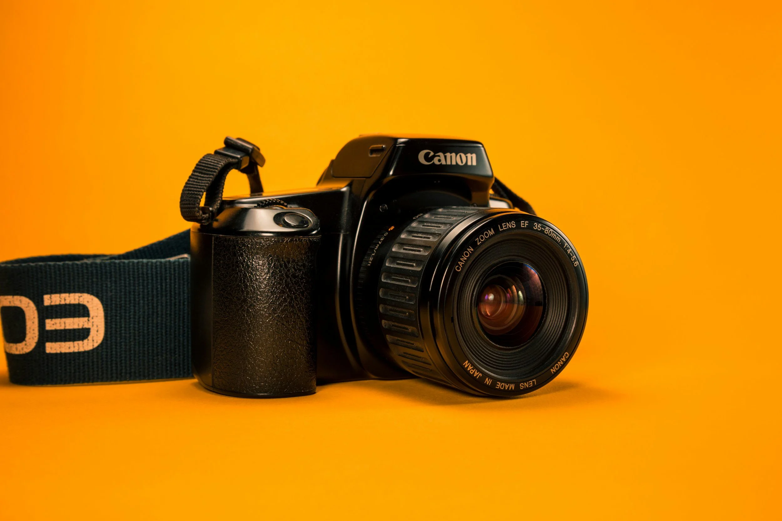 Fall Picture Day