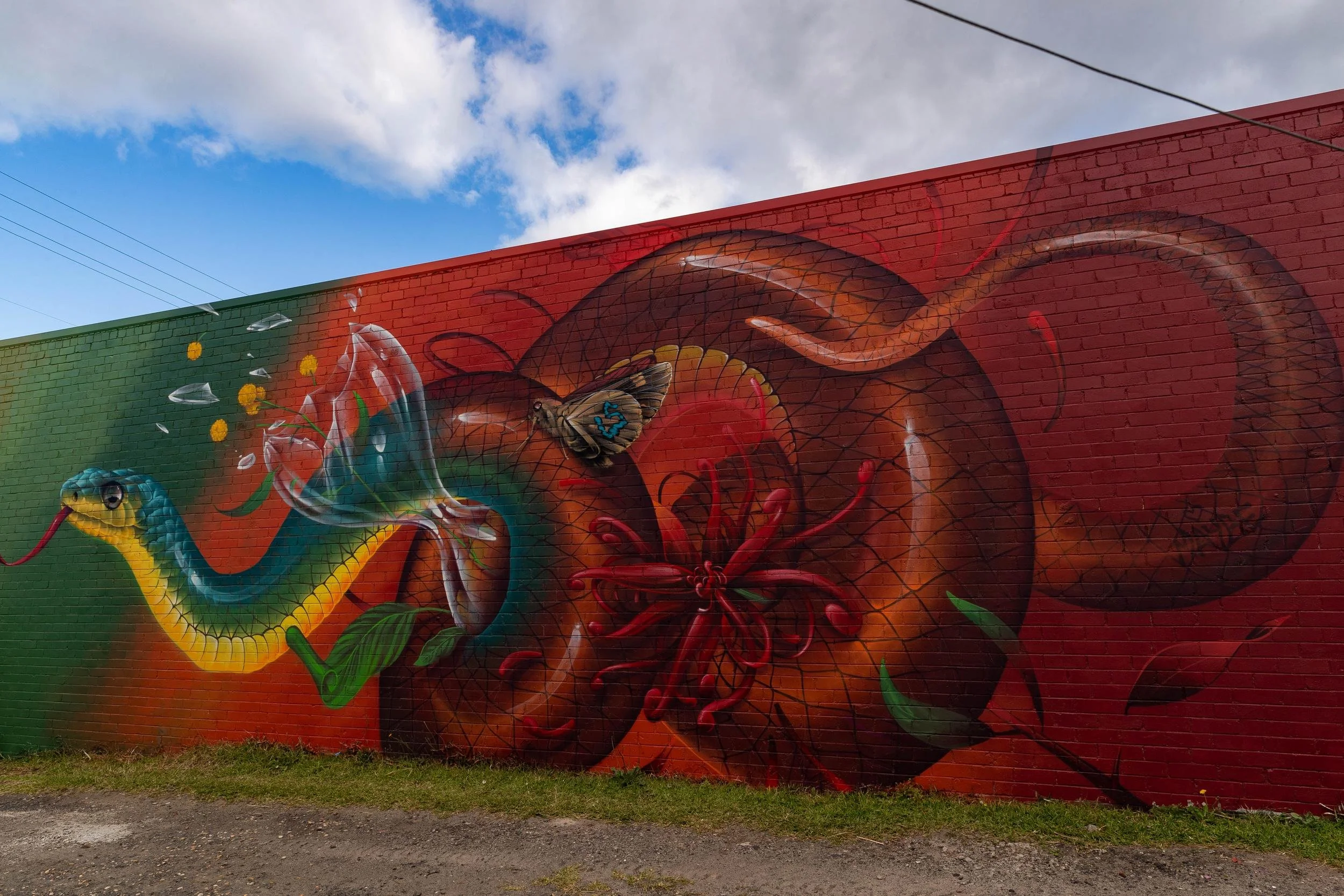 20221118-Wonderwalls-Port-Kembla_Luke-Shirlaw-ARTWORK-6079.jpg