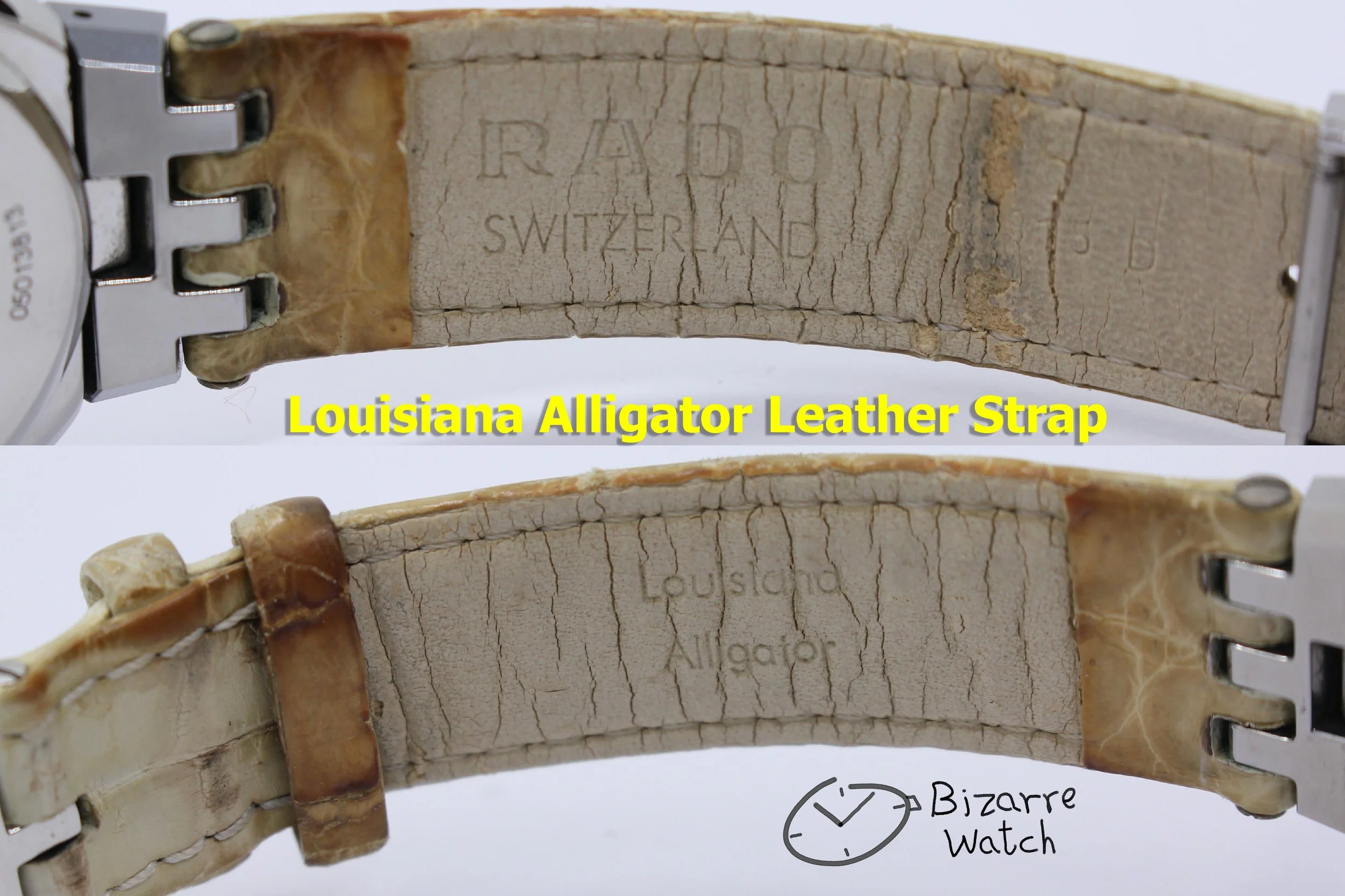 louisiana alligartor strap mother of pearl Rado Mini Diamaster Diastar 34mm Chronograph Tungsten Carbide Grape Colour Leather 538.0470.3 Watch men women unisex