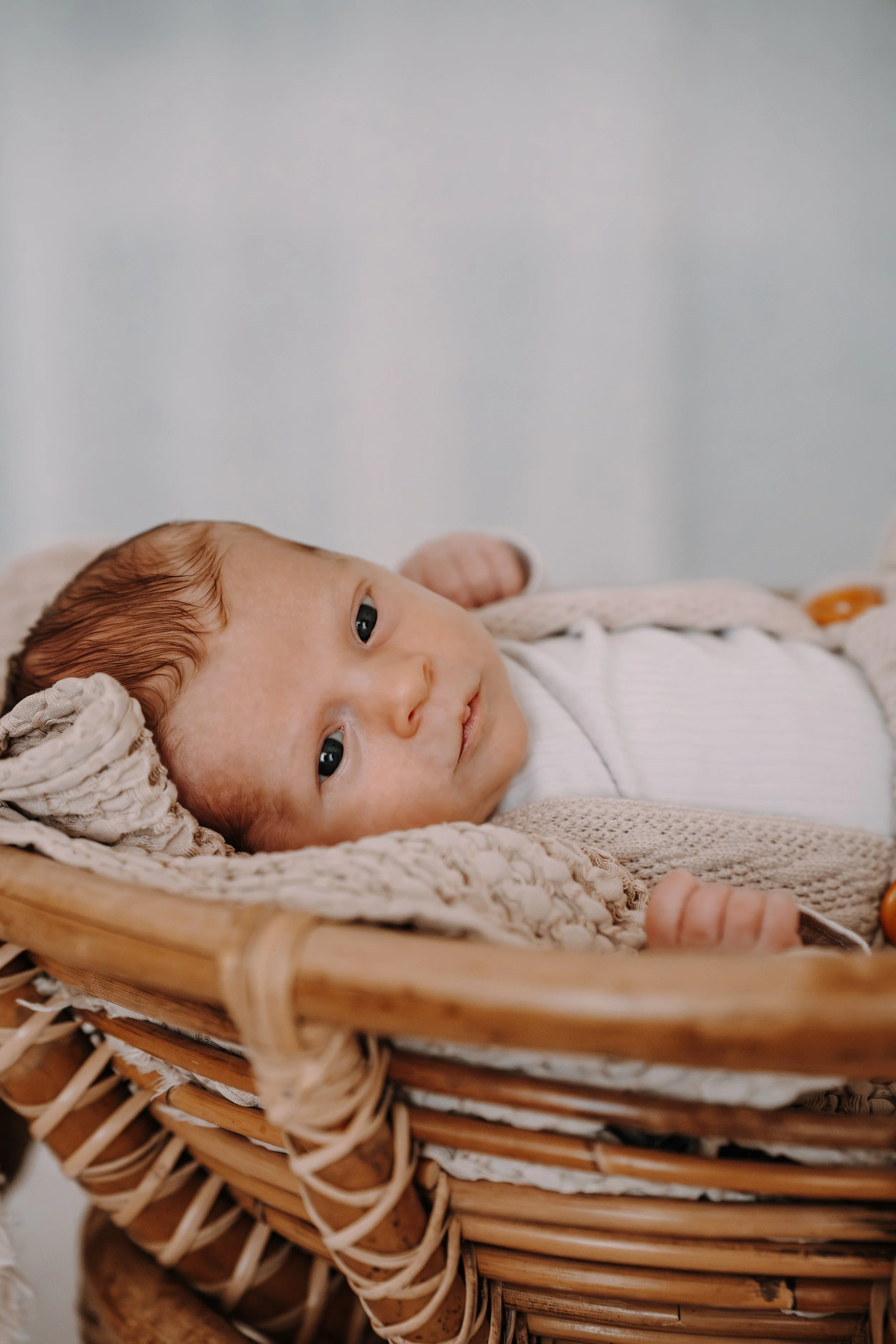 Ein Baby liegt in einem Korb und schaut zur Kamera.