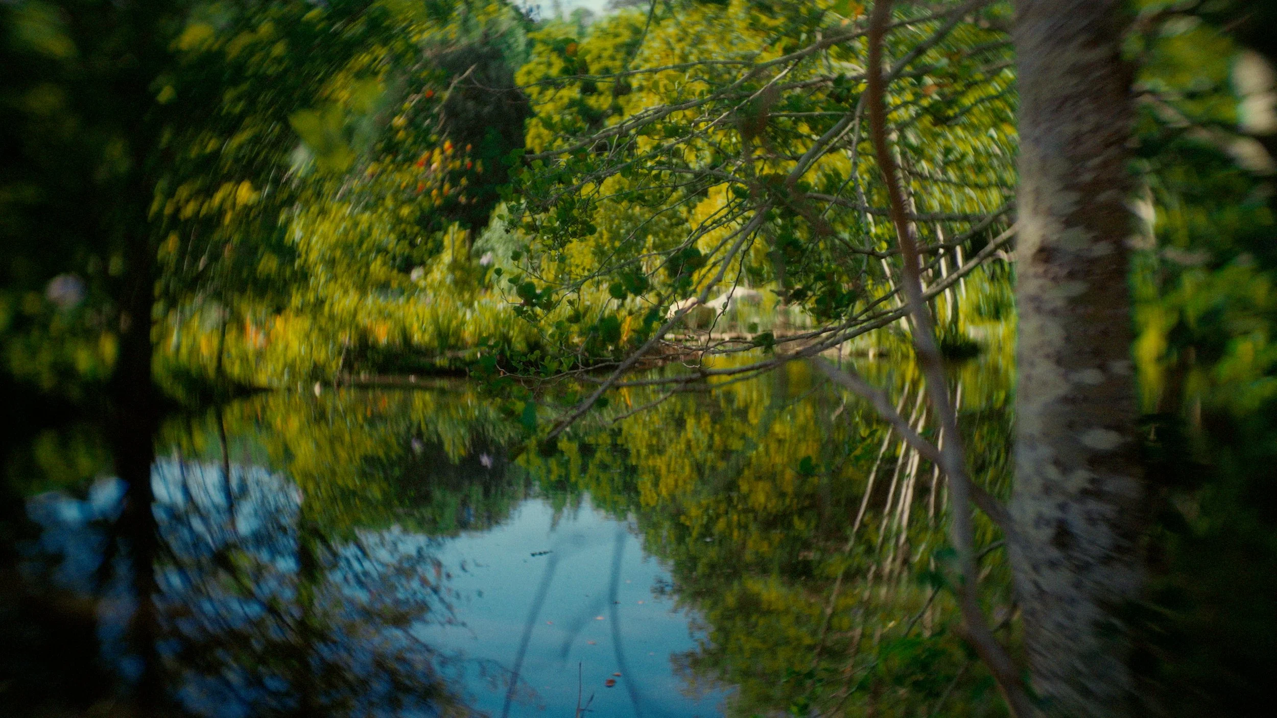 DGO_Graded_WIP2.mov.01_26_41_14.Still017.jpg