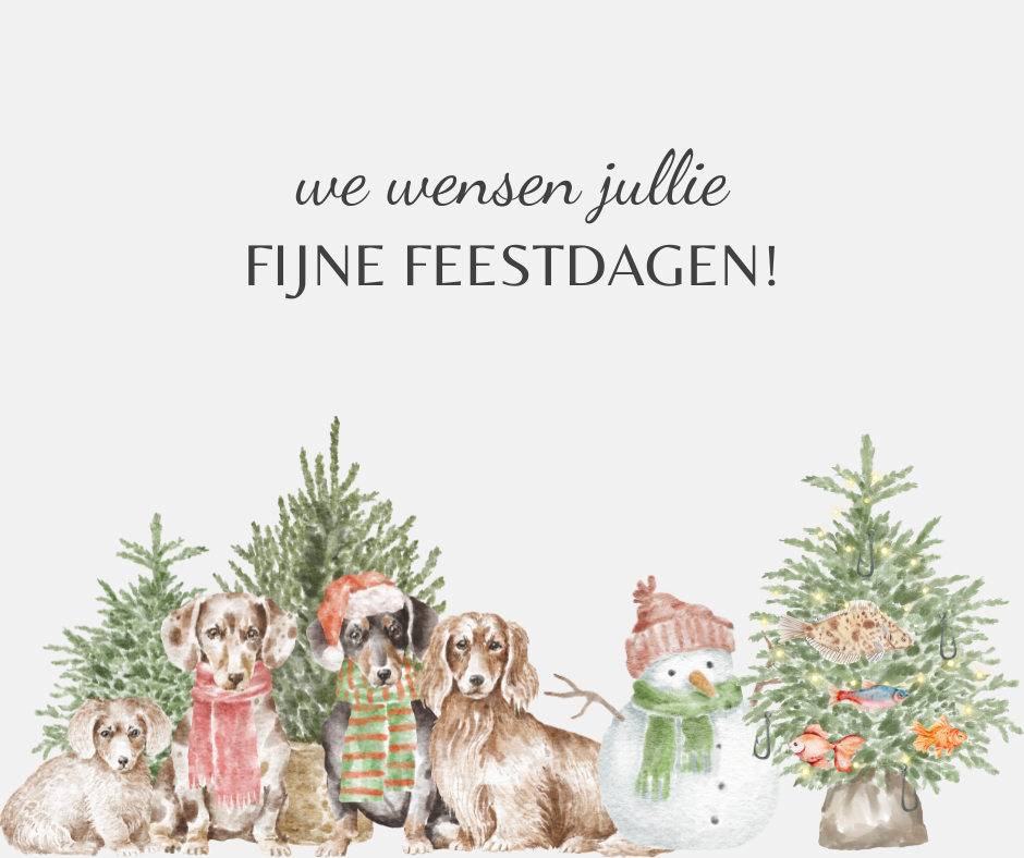 Kantoor gesloten - 22/12 t.e.m. 02/01