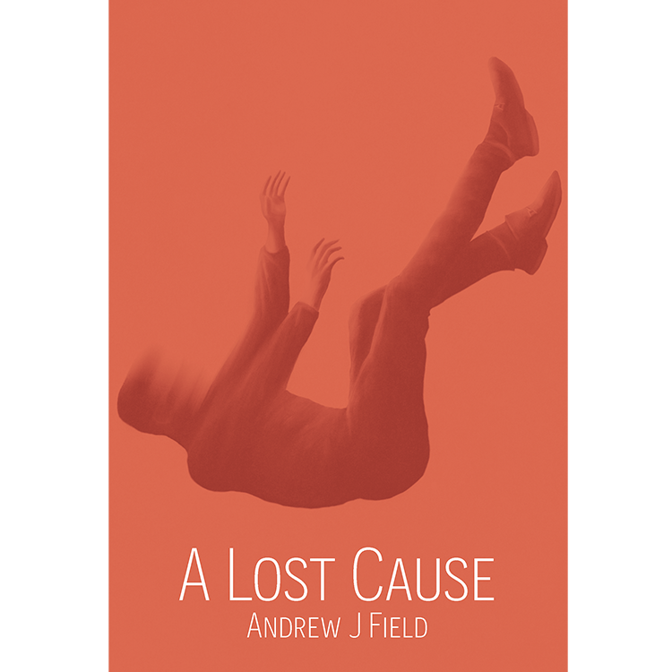 A LOST CAUSE WEB.png