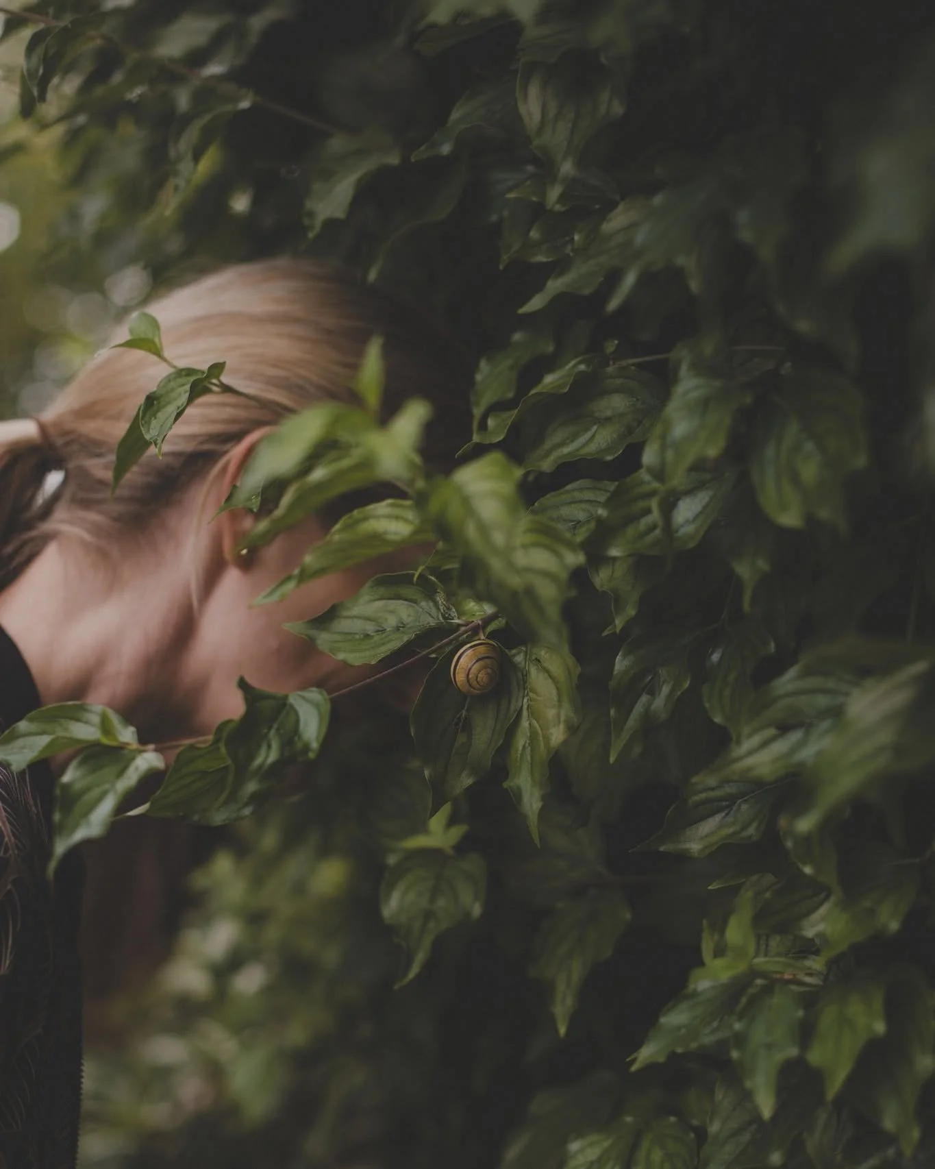THROUGH THE HEDGE.

Wer entscheidet eigentlich &uuml;ber Sinn und Unsinn? Was liegt noch zwischen Illusion und Wirklichkeit? Wie ist die Welt da drau&szlig;en?

Als Kind hatten wir eigene Antworten. Waren neugierig, mutig und offen im Moment ohne im 