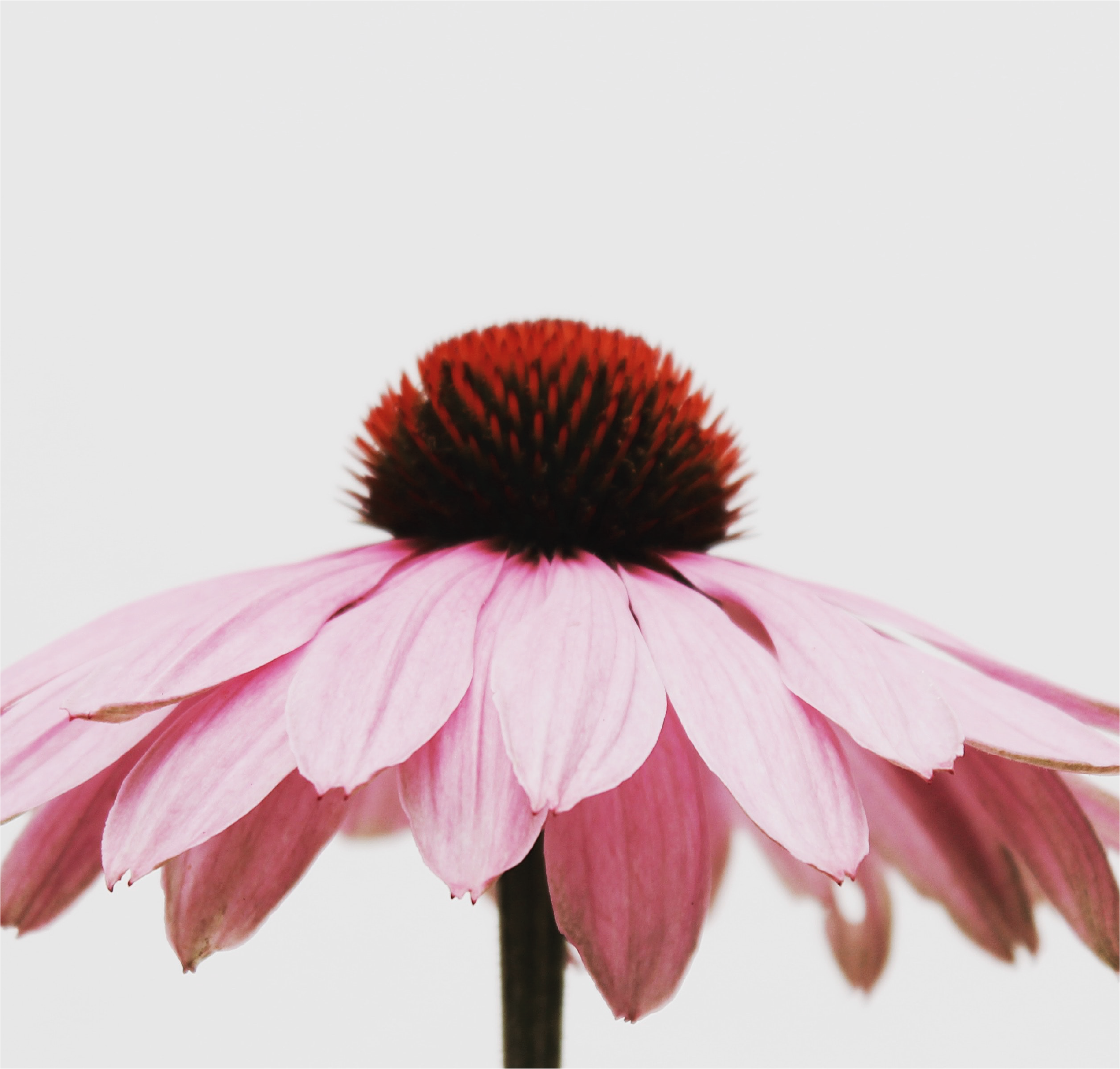 Rendez-vous de suivi