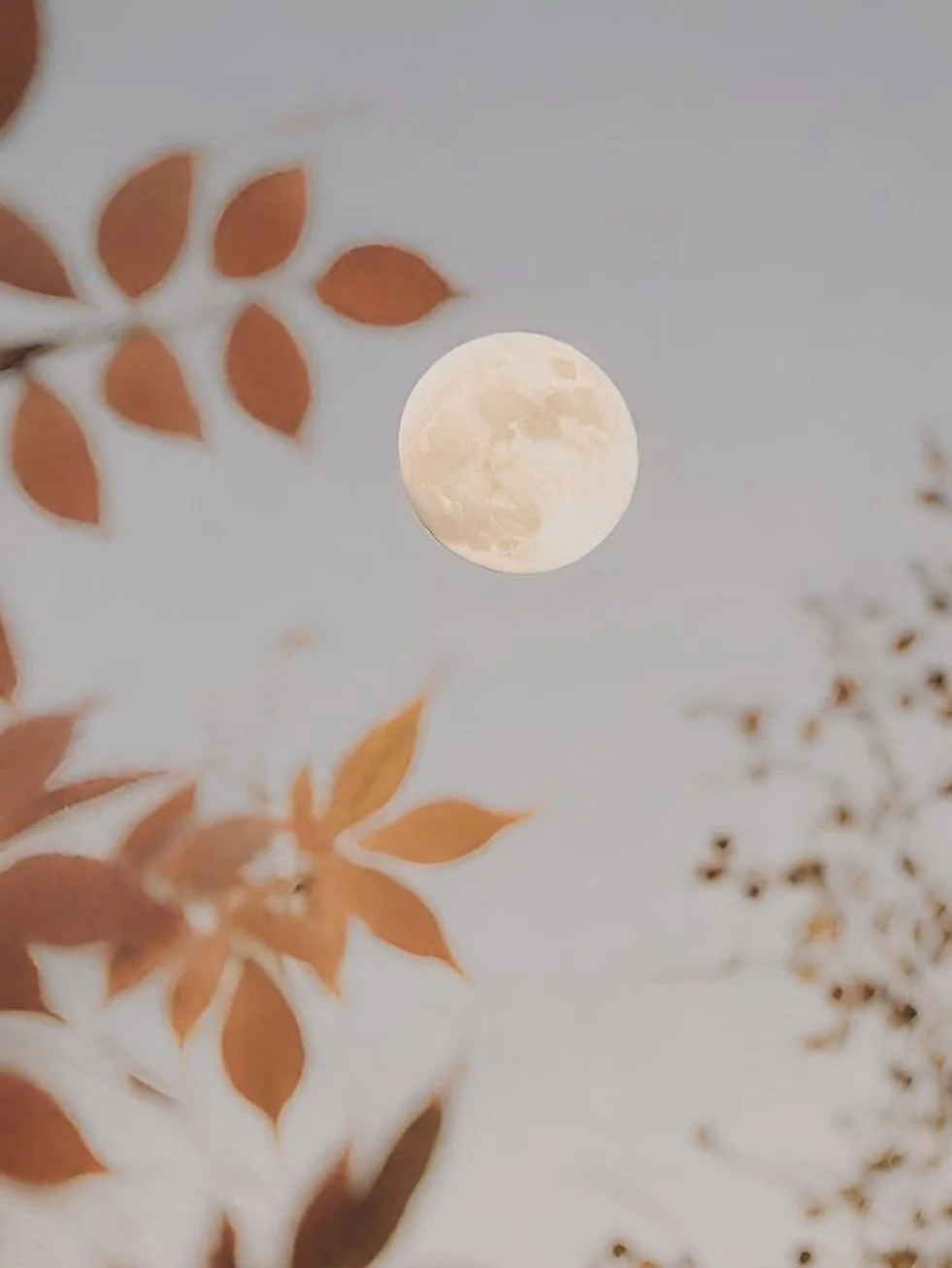 🔥 Ultimi giorni per iscriverti al Workshop della Luna Piena in Ariete 🌙✨

Se senti il richiamo, questa &egrave; la tua occasione per unirti a una serata speciale di Kundalini Yoga, Meditazione, Rilassamento Sonoro e Rituale di rilascio.

📅 6 ottob