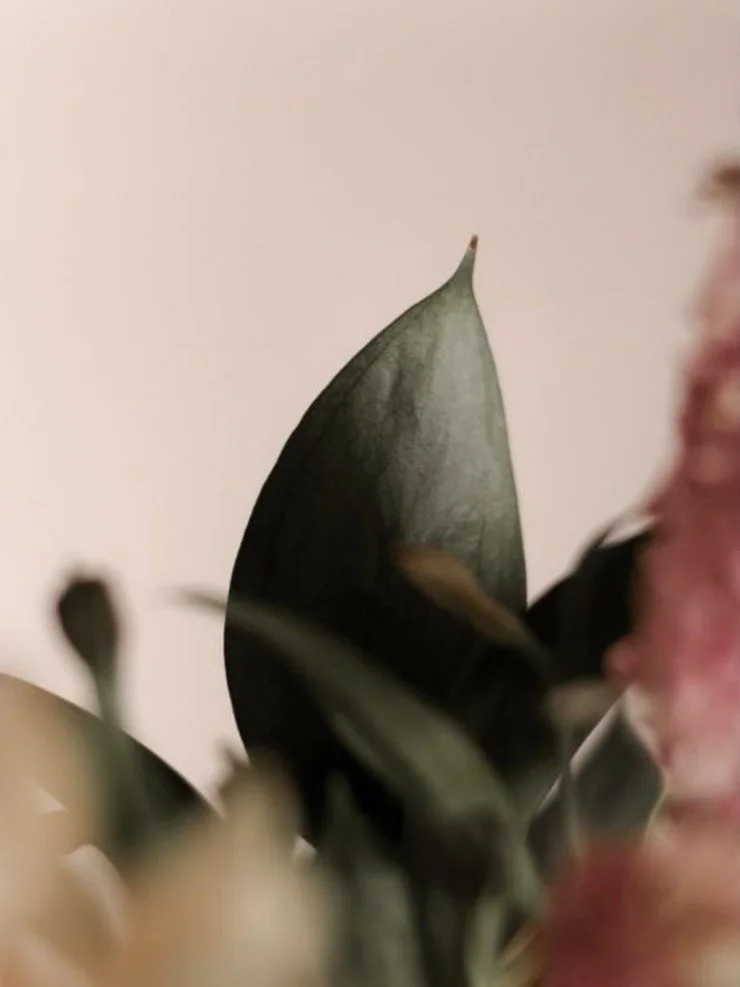 Sat Nam!
Dopo l&rsquo;intensit&agrave; emotiva dello Scorpione, la stagione del Sagittario e la Luna Piena in Gemelli dell&rsquo;1 dicembre ci invitano a respirare liberamente, ad aprirci a nuovi orizzonti e possibilit&agrave; 😊.

✨Ti invito ad un C