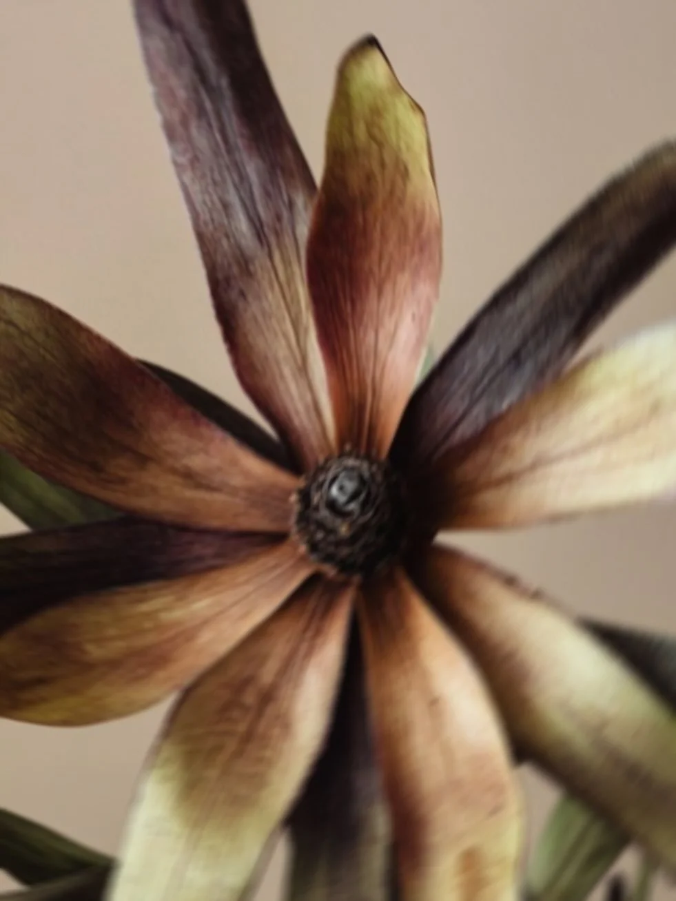 🌕✨ Luna Piena in Gemelli ✨🌕

La Luna Piena di oggi porta chiarezza, nuove prospettive e l&rsquo;invito ad aprire la mente.
&Egrave; una lunazione che dissolve i blocchi mentali, porta luce dove c&rsquo;era confusione e ci aiuta a vedere il nostro c