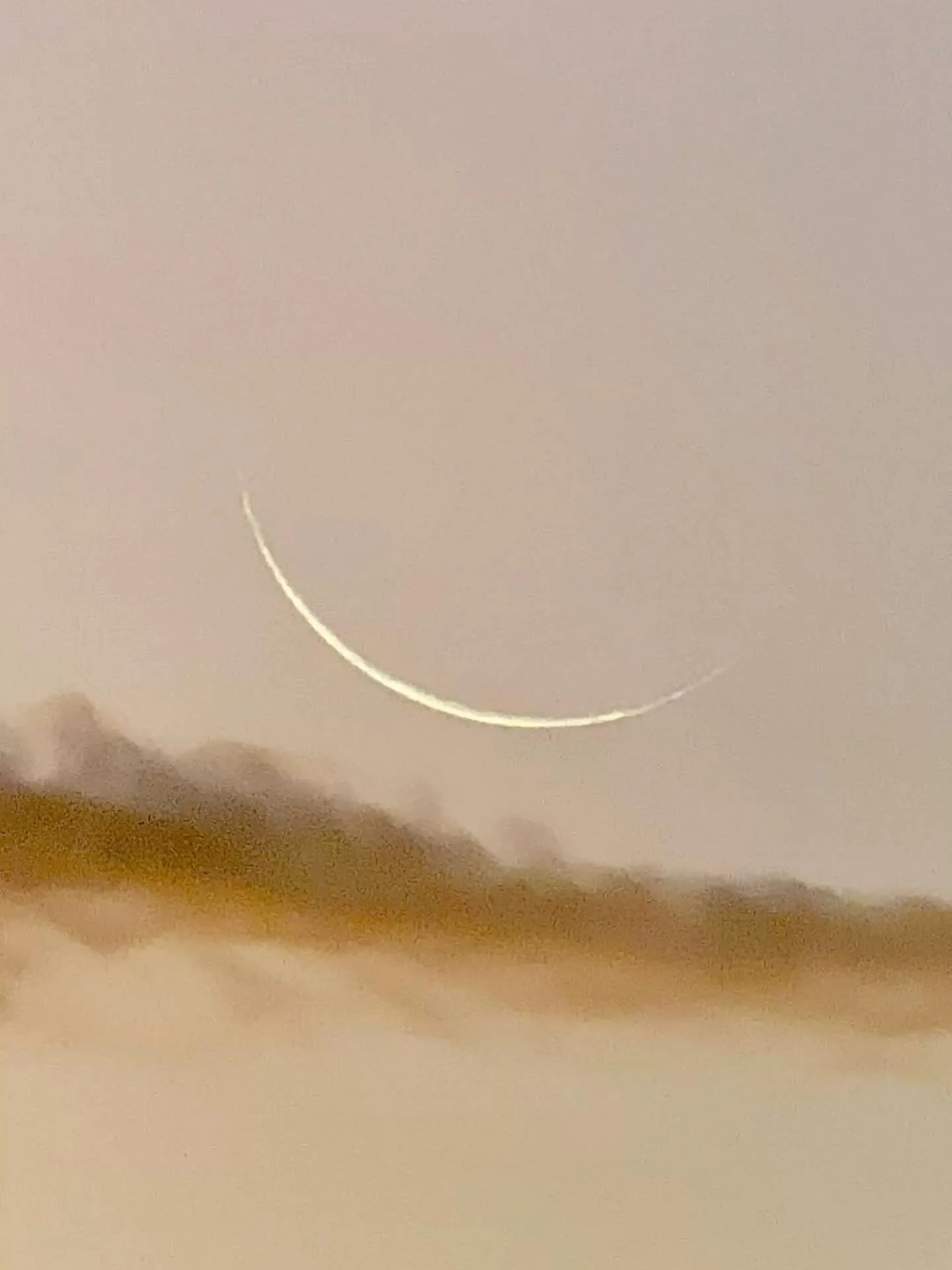 LUNA NUOVA IN CAPRICORNO ✨🌑

Un nuovo ciclo prende forma nel silenzio.
Questa Luna Nuova ci invita a rallentare, assumere responsabilit&agrave; e scegliere con maturit&agrave; ci&ograve; che desideriamo costruire nel tempo.
Non si tratta di fare di 