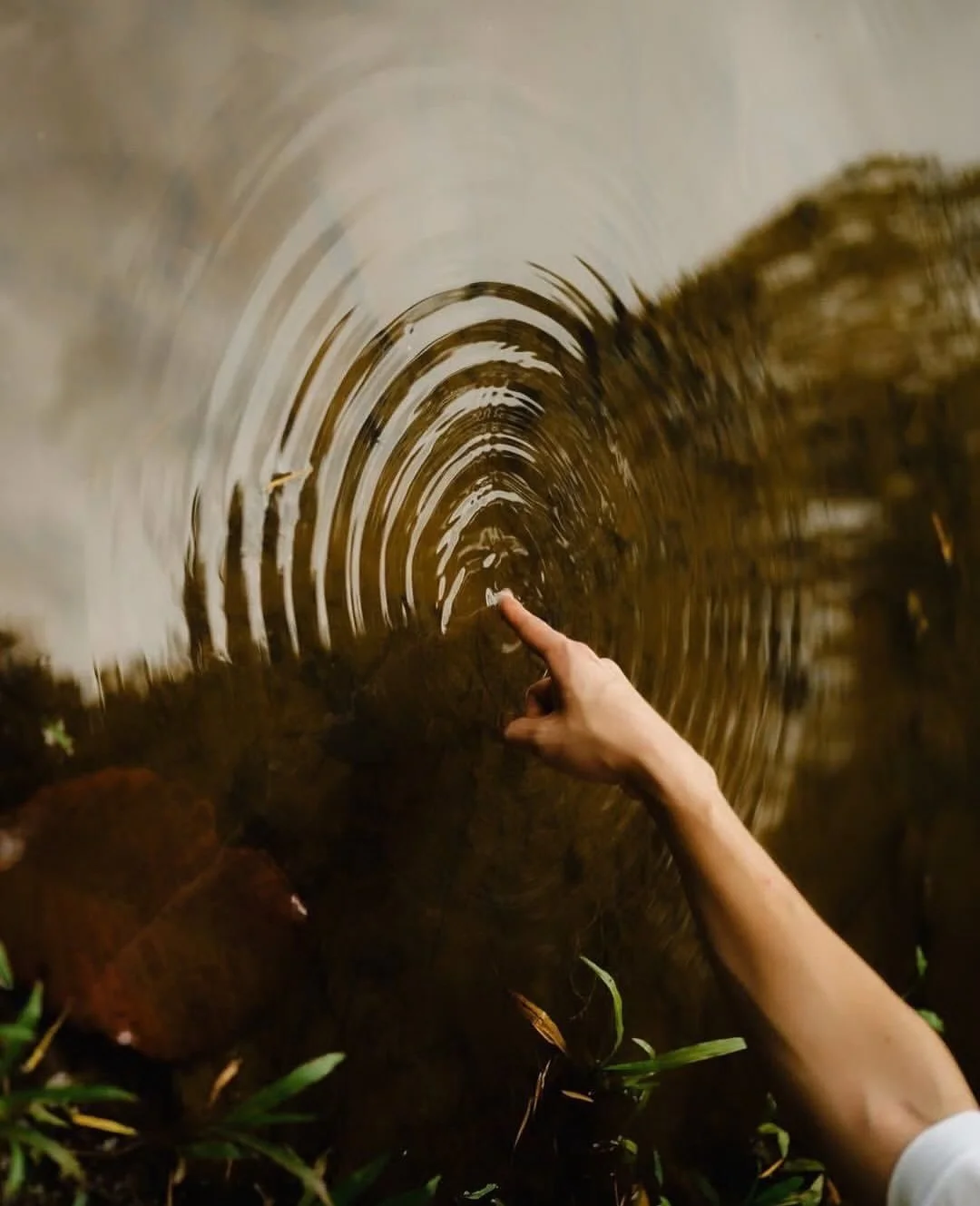 Marted&igrave; 27 gennaio
19.30-21.00 su zoom
Kundalini Yoga &amp; Meditazione 
✨&ldquo;EQUILIBRARE LA RABBIA INTERIORE E RITROVARE IL RAPPORTO CON IL S&Eacute;&rdquo;✨

&ldquo;Trasforma&nbsp;la rabbia&nbsp;in umorismo. Trasforma l&rsquo;insulto in s