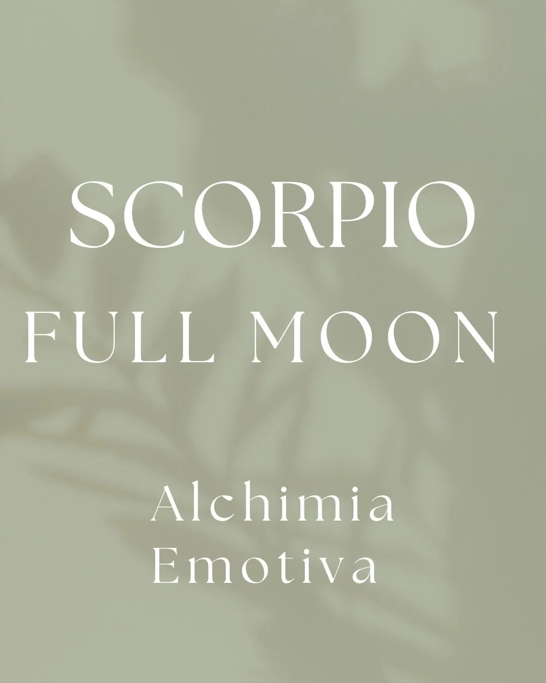 La Luna Piena in Scorpione raggiunge il suo picco stasera alle 19:23. 🌕

La Luna Piena in Scorpione non sussurra&hellip; rivela.
Porta in superficie ci&ograve; che abbiamo cercato di controllare, evitare, contenere.

&Egrave; una Luna di verit&agrav