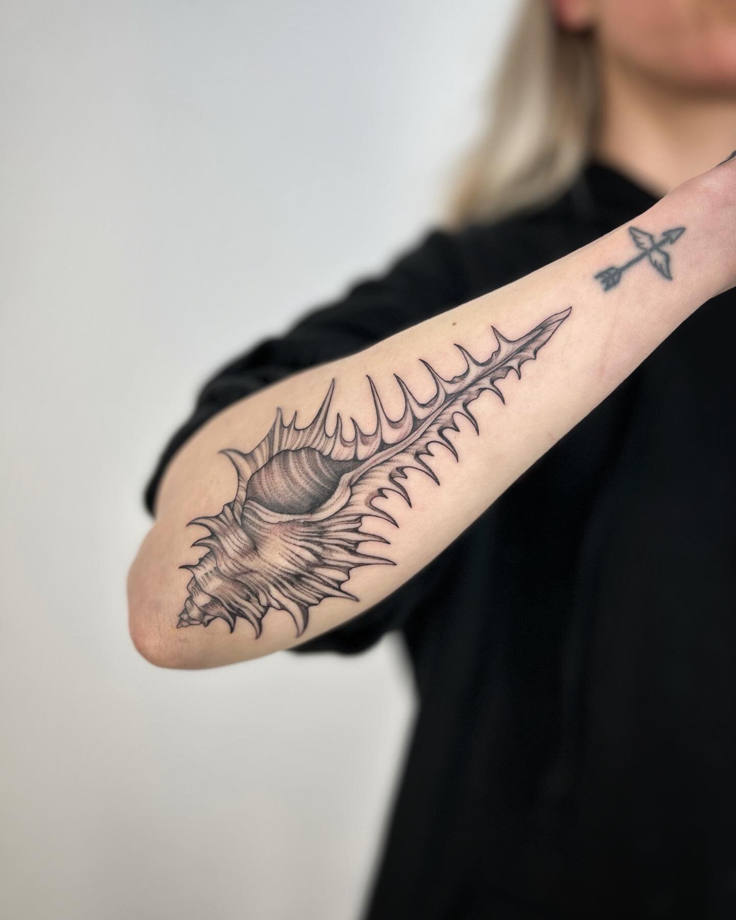 Spiky seashell for Rose, thanks so much! ✨ Email paulajdaveytattoo@gmail.com for bookings.