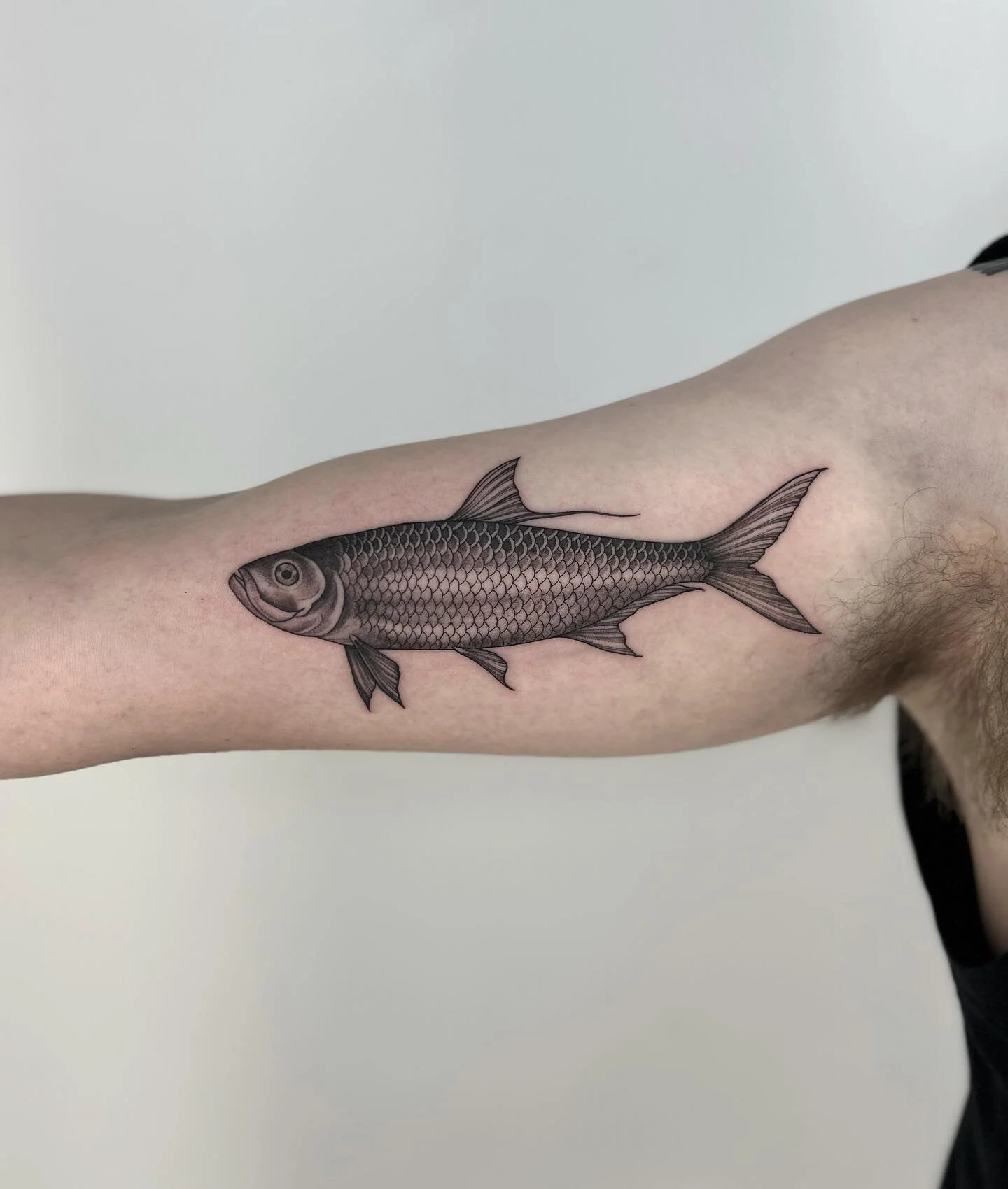 Tarpon fish for Adam, thanks! ✨ Email paulajdaveytattoo@gmail.com for your sea creature needs.