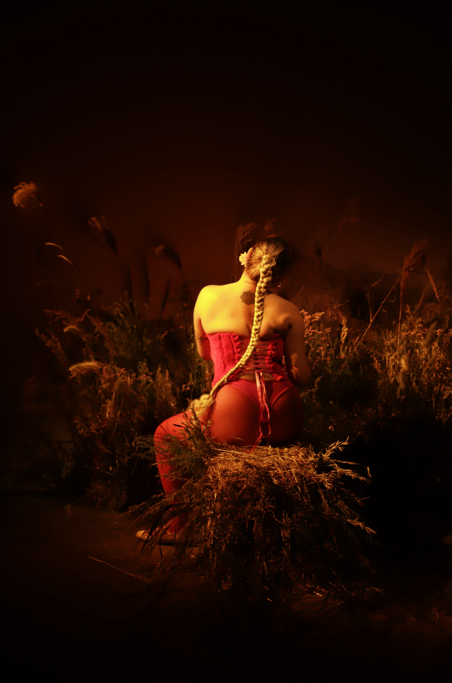 Screenshot 2024-09-18 at 7.47.29 PM.png