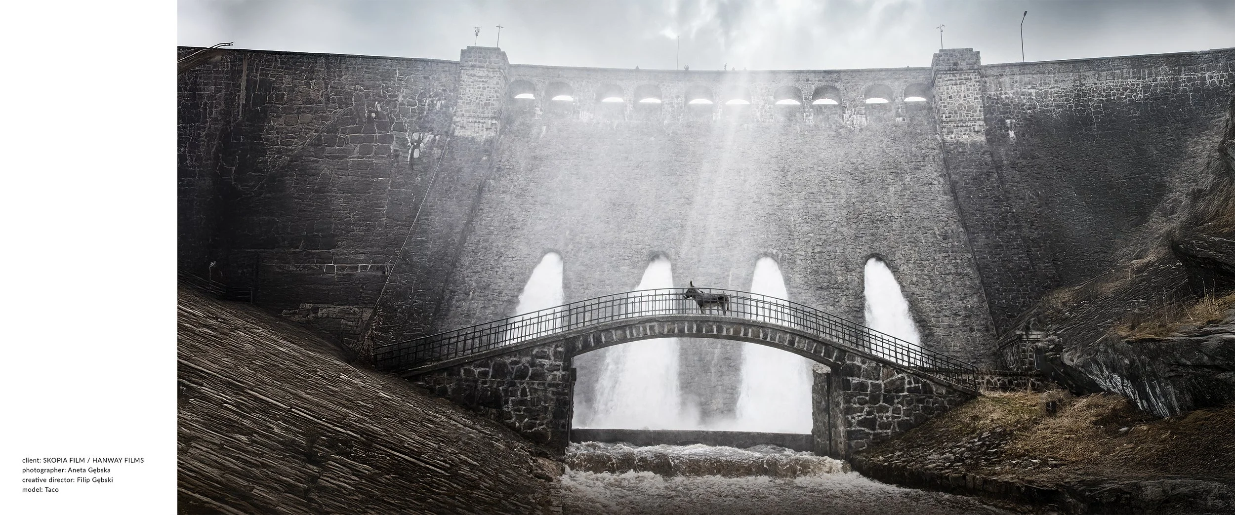 Advertising Photo_EO.jpg
