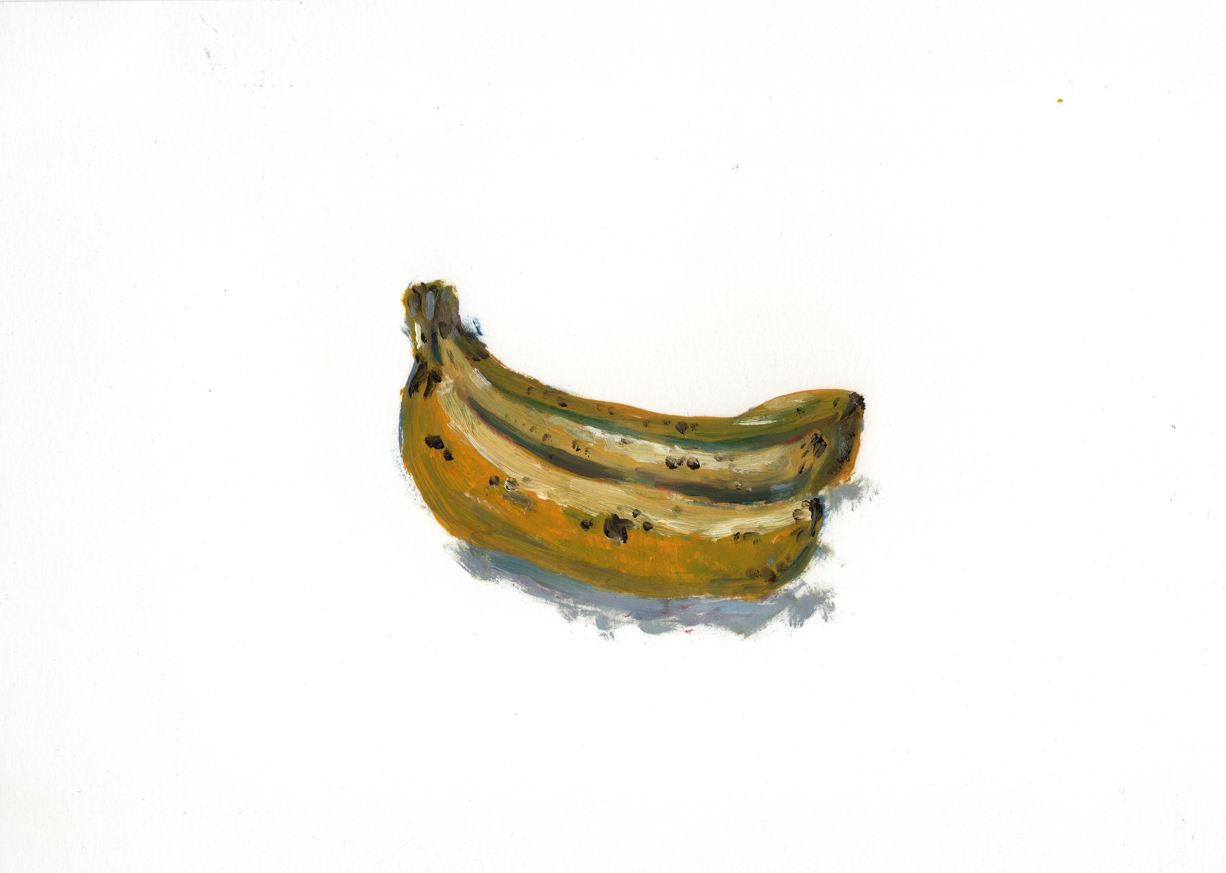 Bananas #5  (2024) | 9 x 12" [oil]