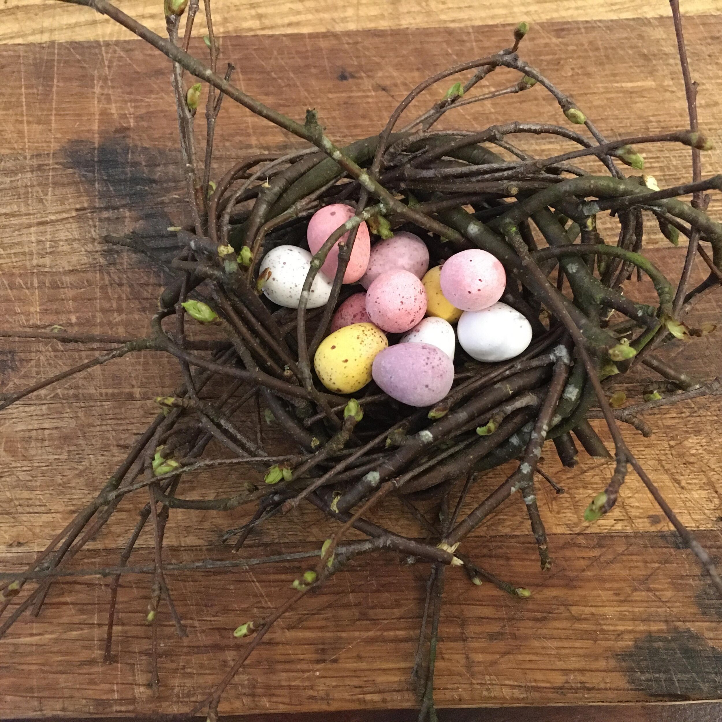 A birch nest for a clutch of eggs. #nests #easter #birchbaskets