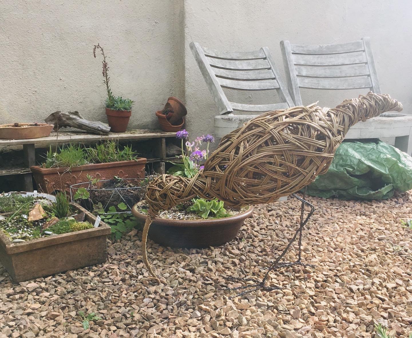A wonderful workshop with Anna Turnbull @biteabout_arts My curlew seems very happy in the garden . #willowsculpture #willow @scottishbasketmakerscircle