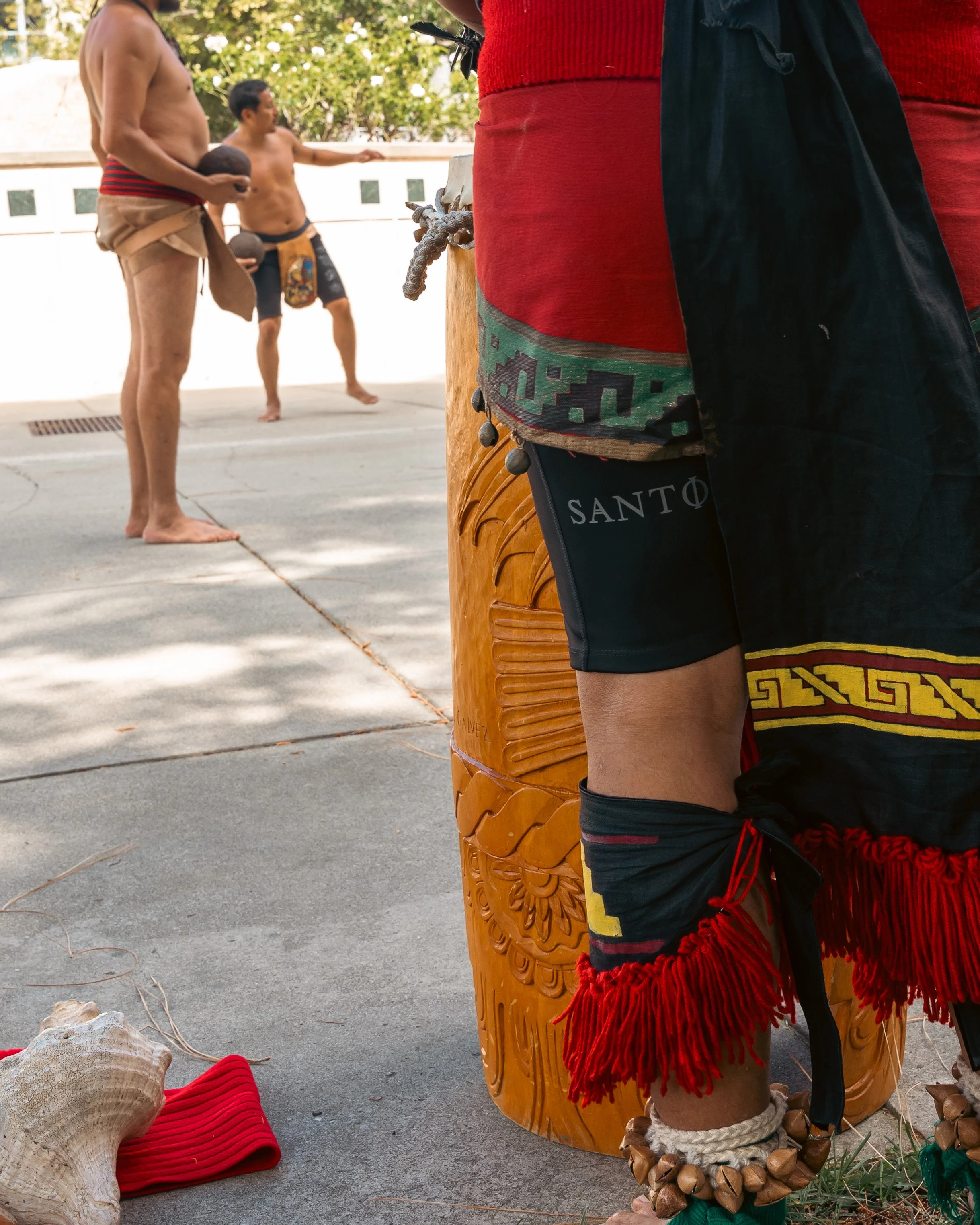 DSC08099.jpg