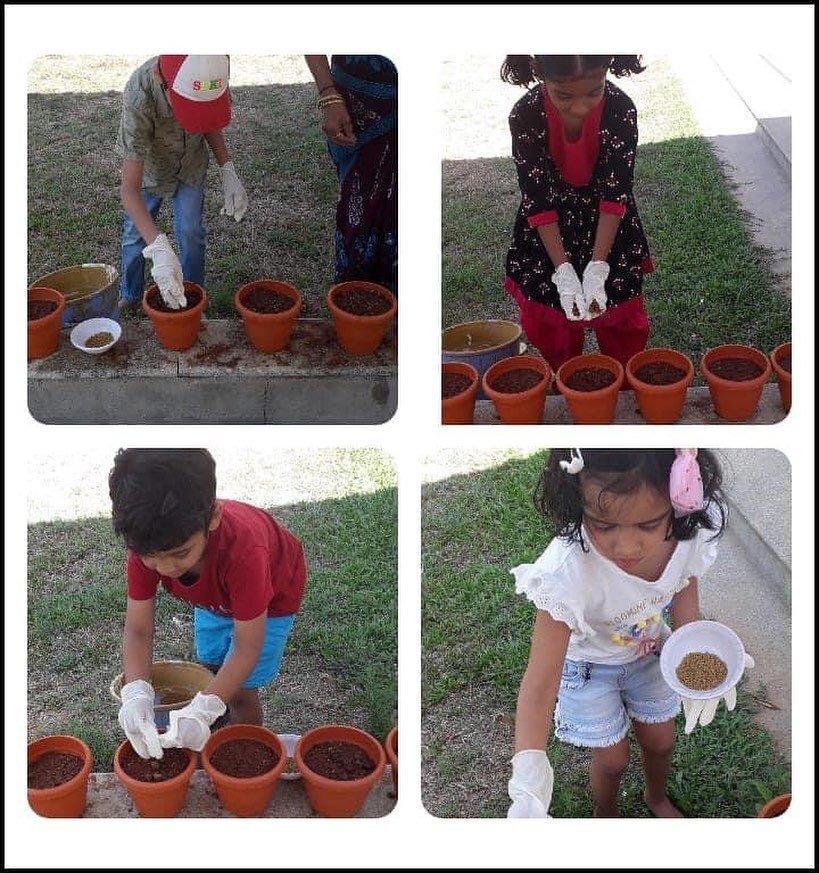 Summer Camp activities at AIMS Preschool, Sarjapur branch. 

May batch of our Summer Camp 2023 is starting on May 2nd. Join your kid today!

#summer #summercamp #nature #natureactivities #ecofriendly #plantlover #savetheplanet #sarjapur #preschoolact