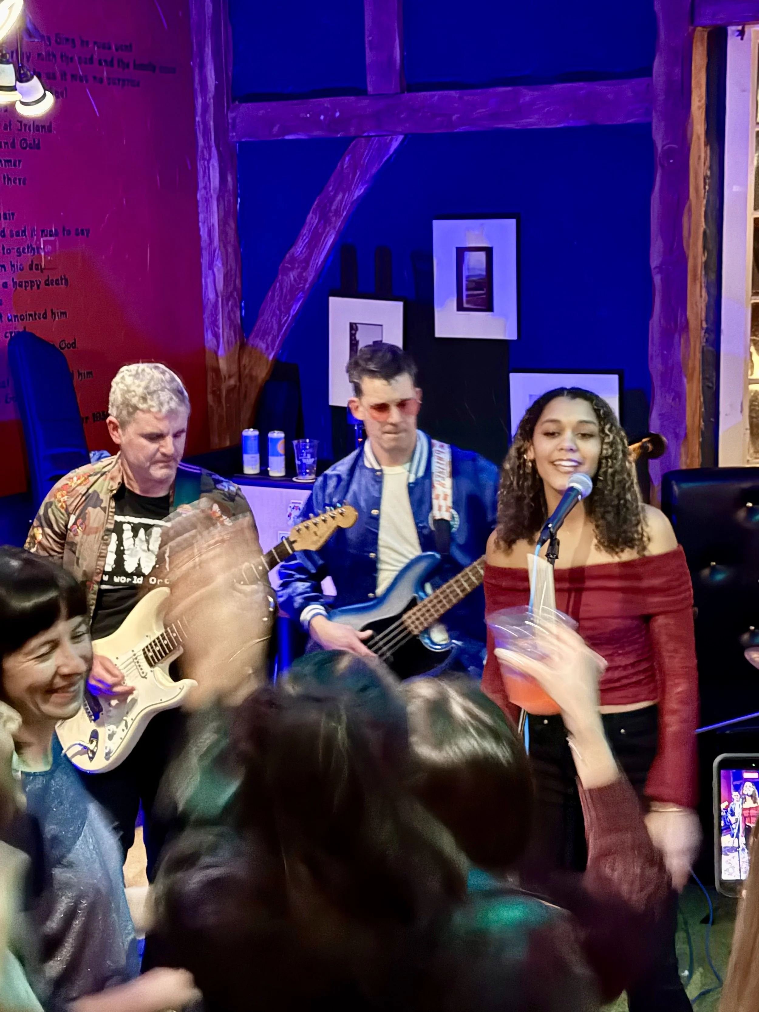 Anna Mendes at Tinkers Son Fundraiser