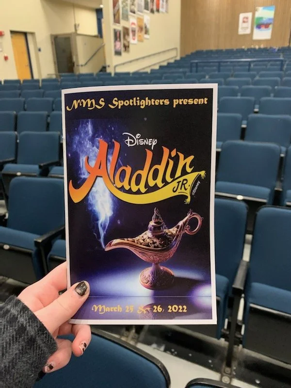 Aladin program.jpg