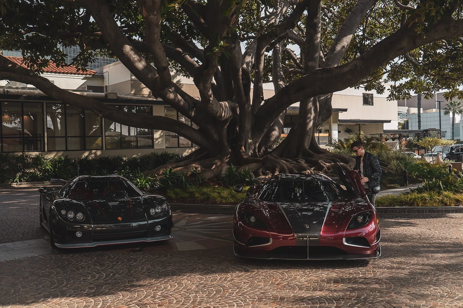 Coffee, Cars and a Very Fast Morning